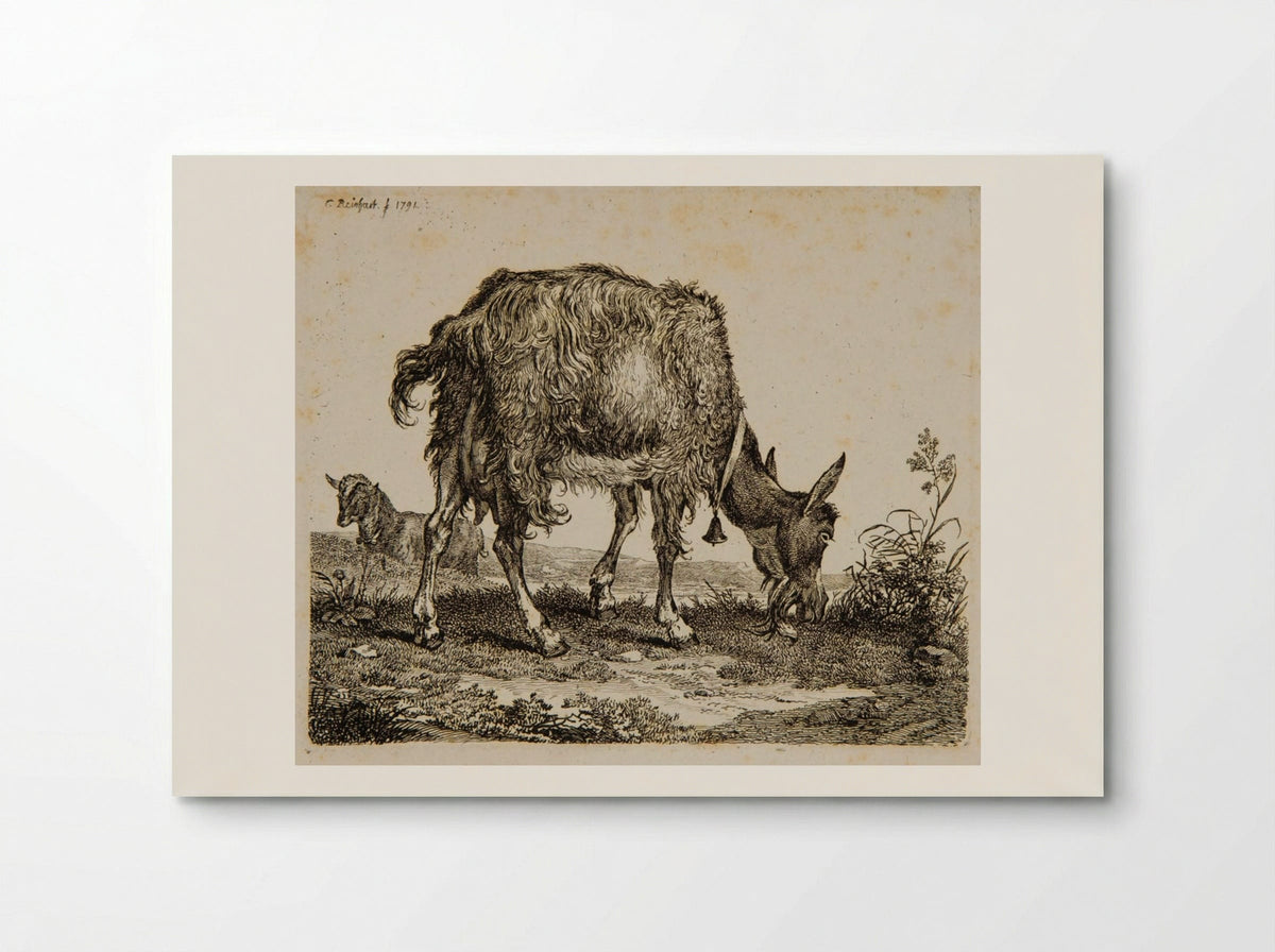 Goat Grazing - Johann Christian Reinhart - Poster