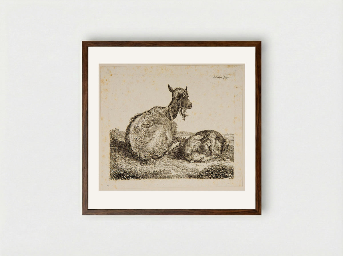 Goat and Kid - Johann Christian Reinhart - Framed Print Dark Wood