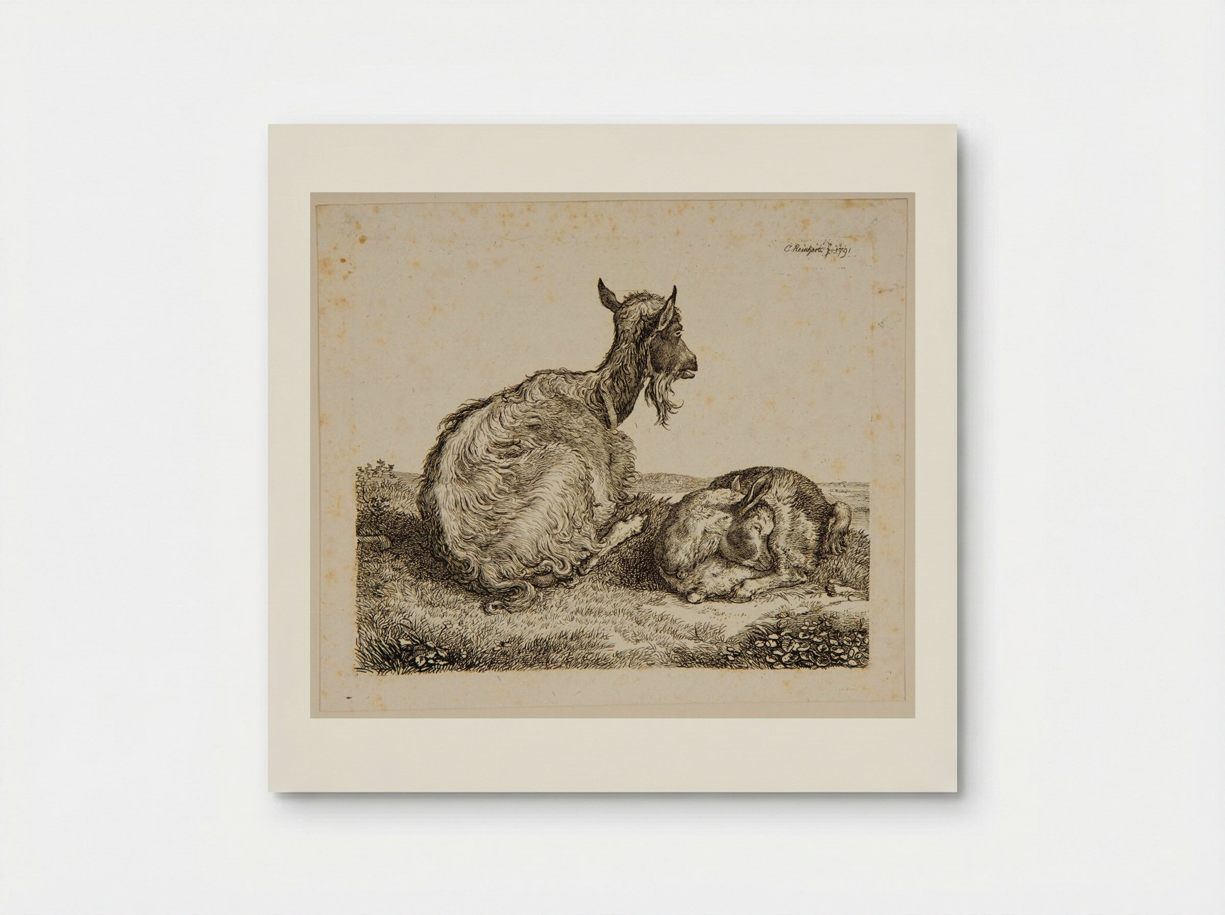 Goat and Kid - Johann Christian Reinhart - Poster