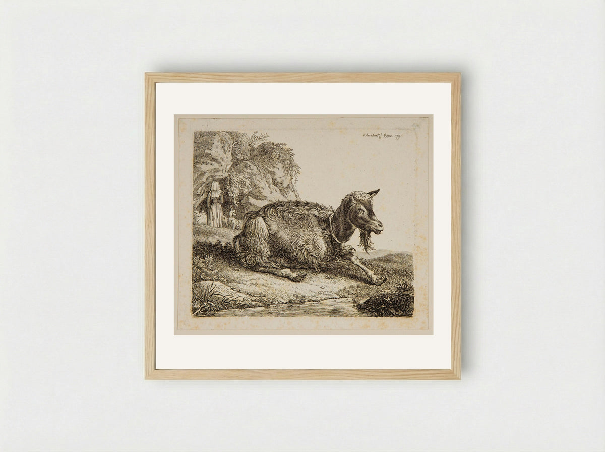 Goat and Shepherdess - Johann Christian Reinhart - Framed Print Wood