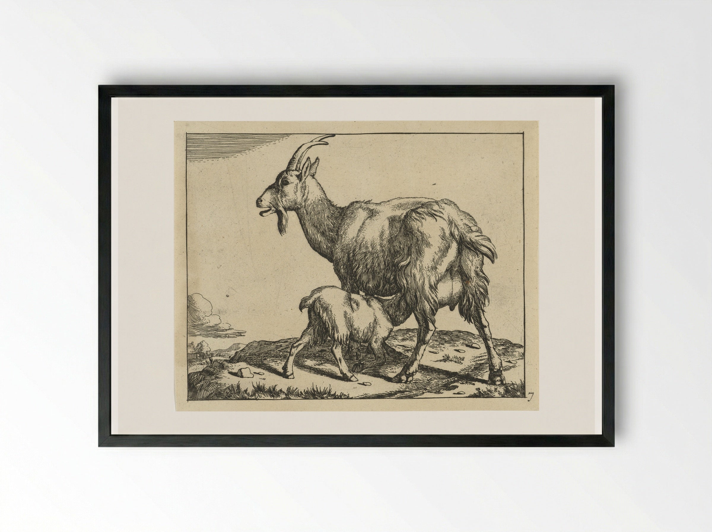 Goat with Suckling Kid - Marcus de Bye - Framed Print Black