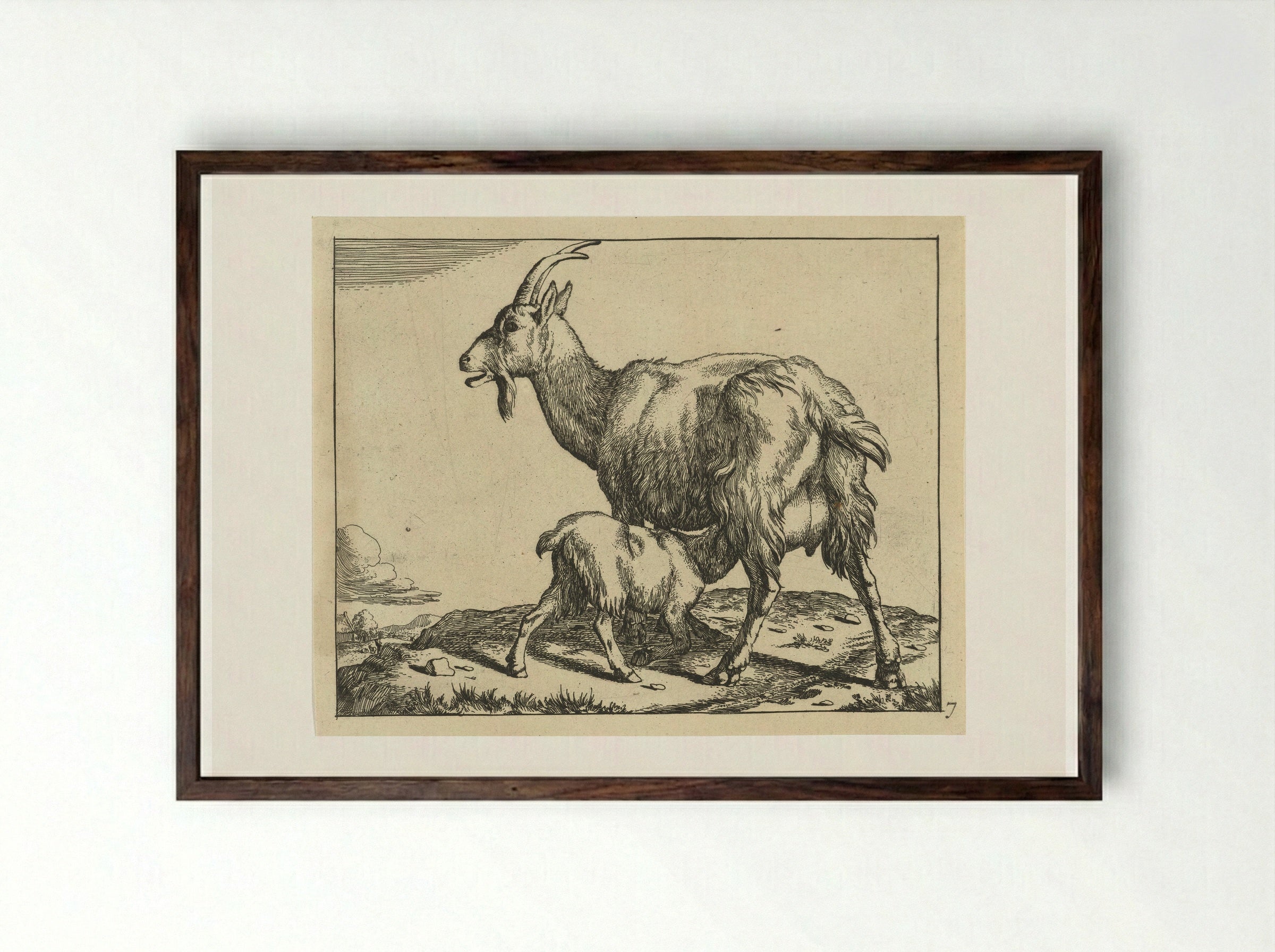 Goat with Suckling Kid - Marcus de Bye - Framed Print Dark Wood