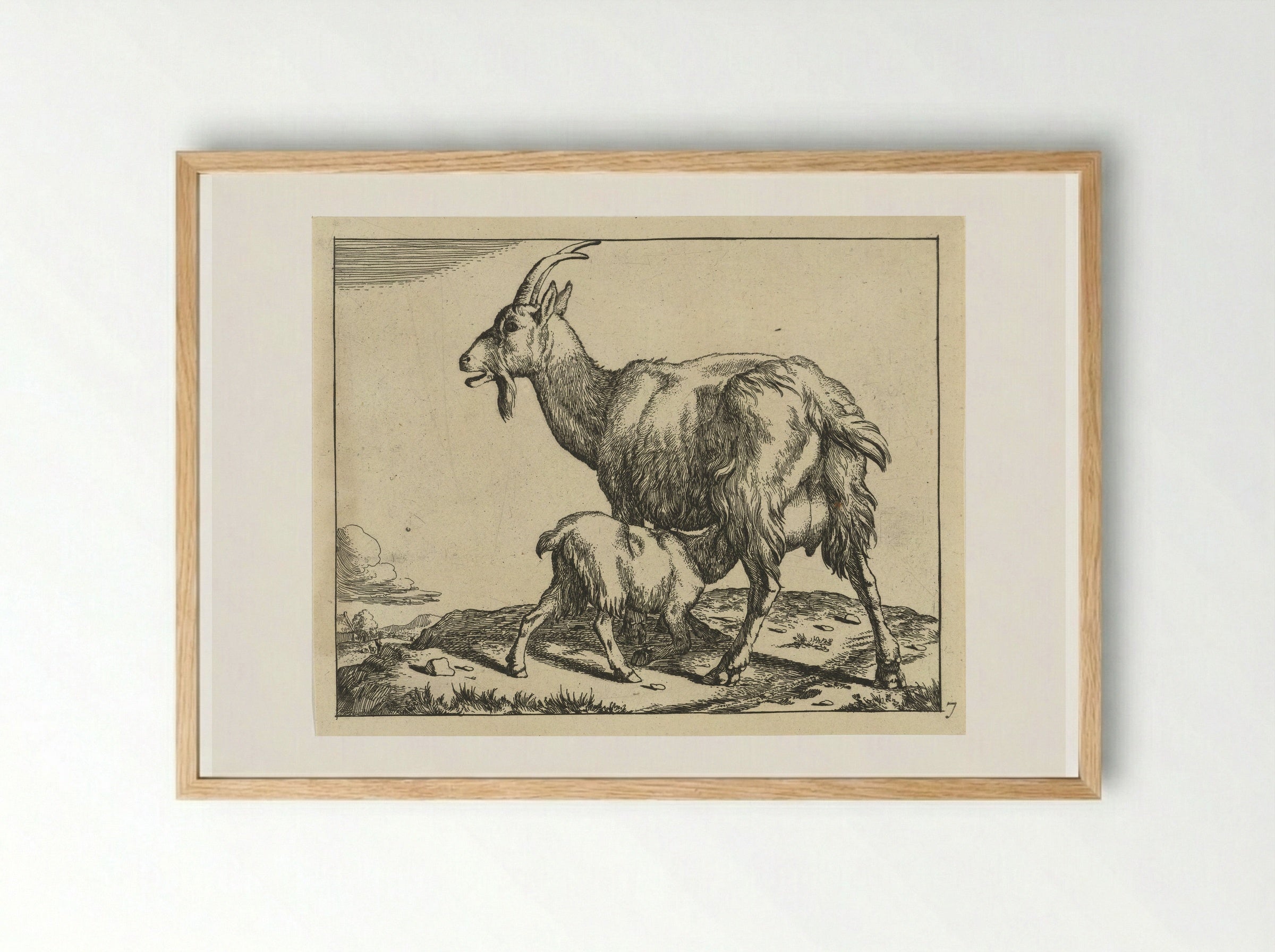 Goat with Suckling Kid - Marcus de Bye - Framed Print Wood