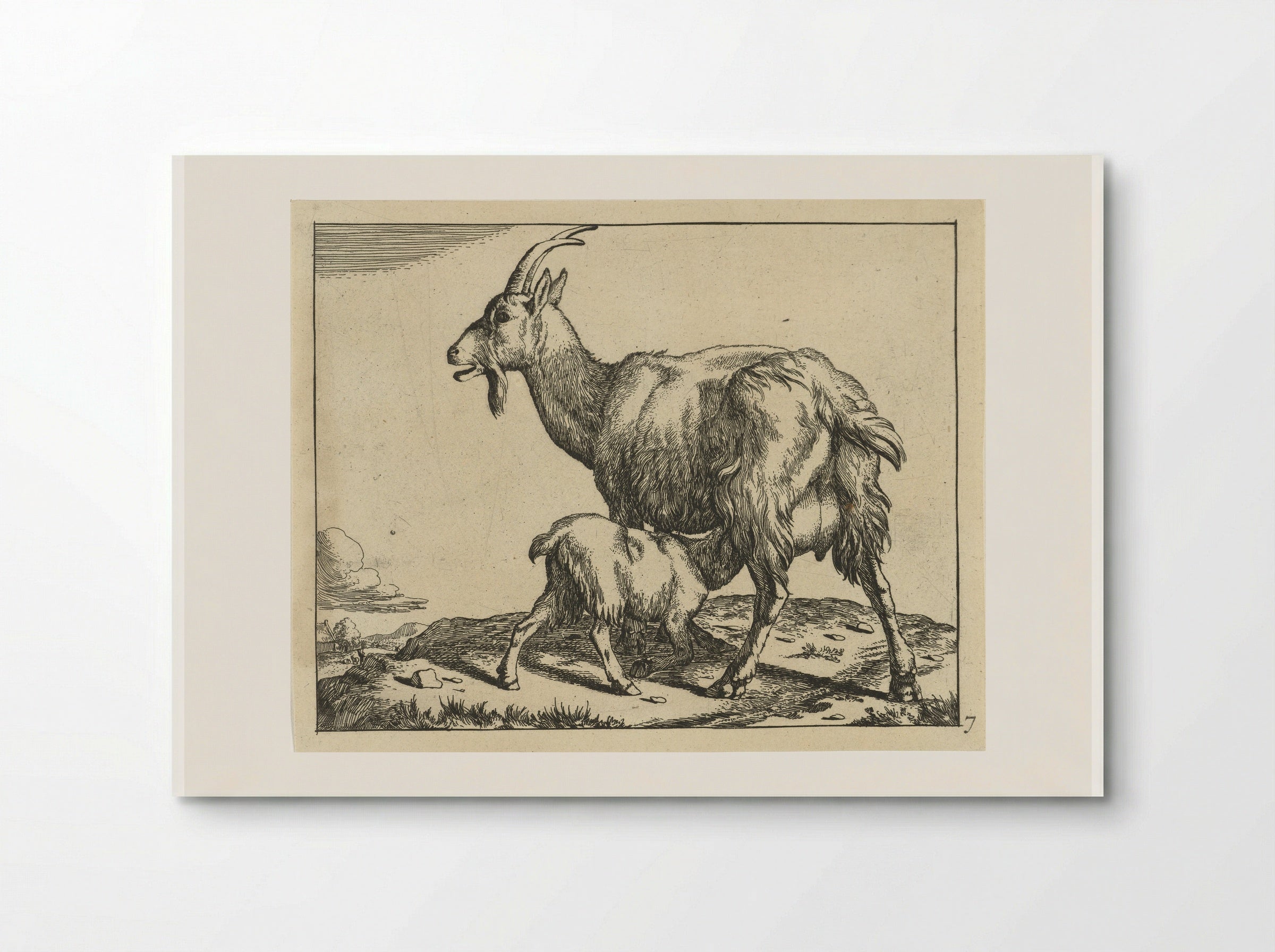Goat with Suckling Kid - Marcus de Bye - Poster
