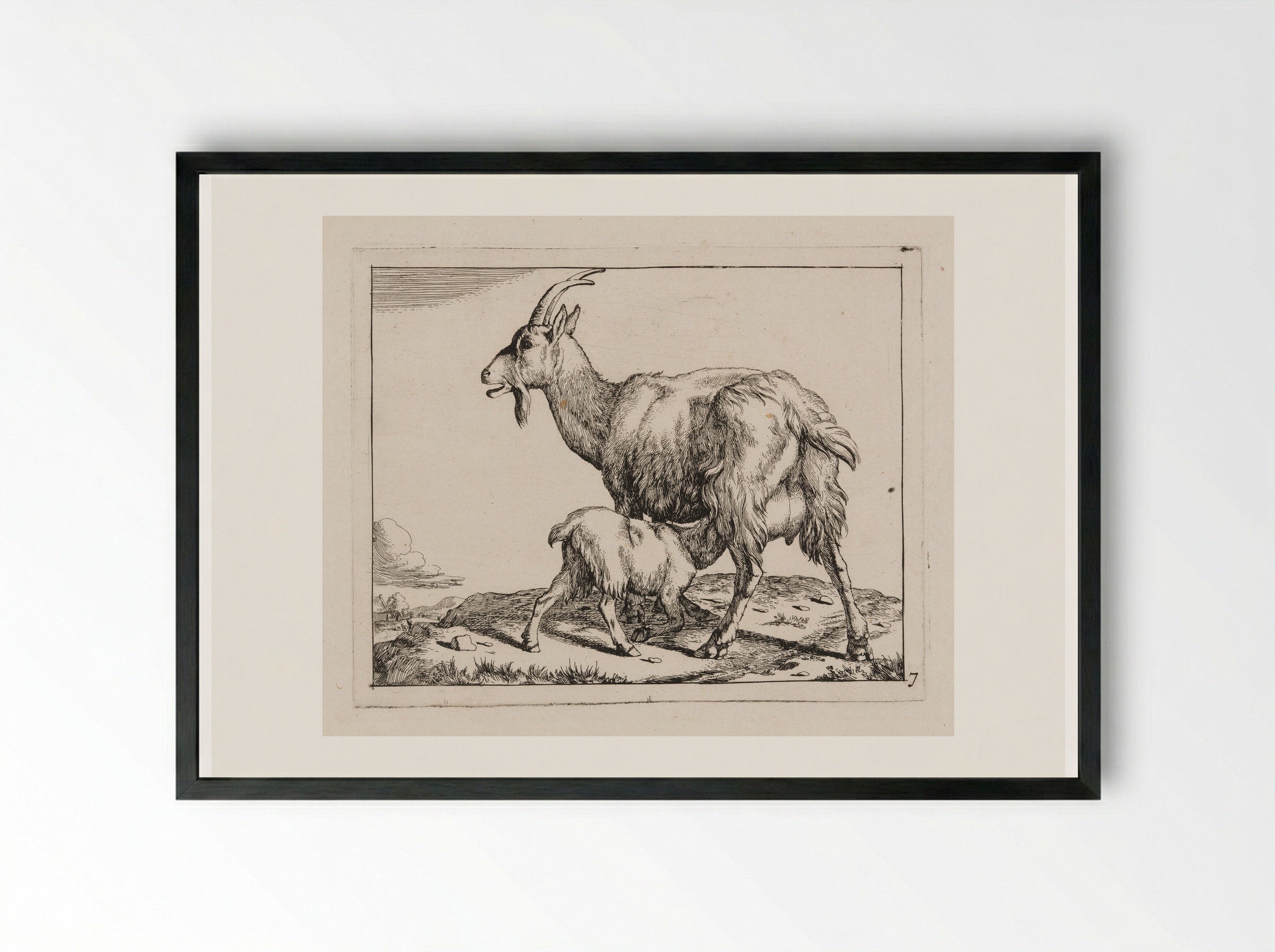 Goat with a Nursing Kid - Marcus de Bye - Framed Print Black
