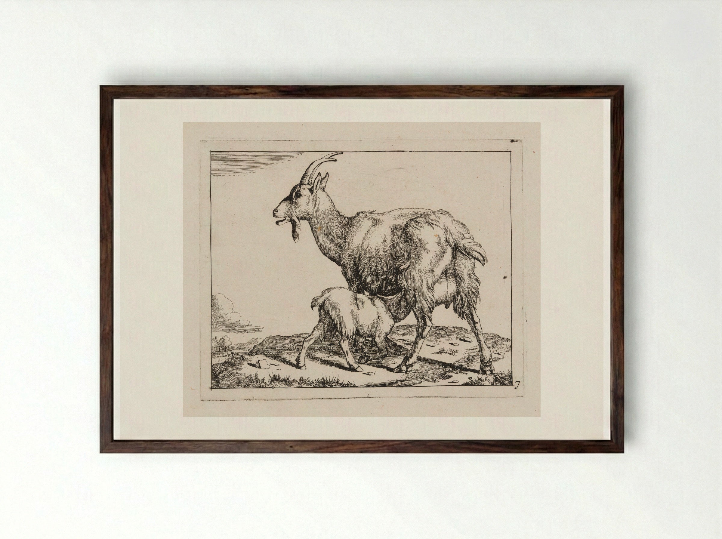 Goat with a Nursing Kid - Marcus de Bye - Framed Print Dark Wood