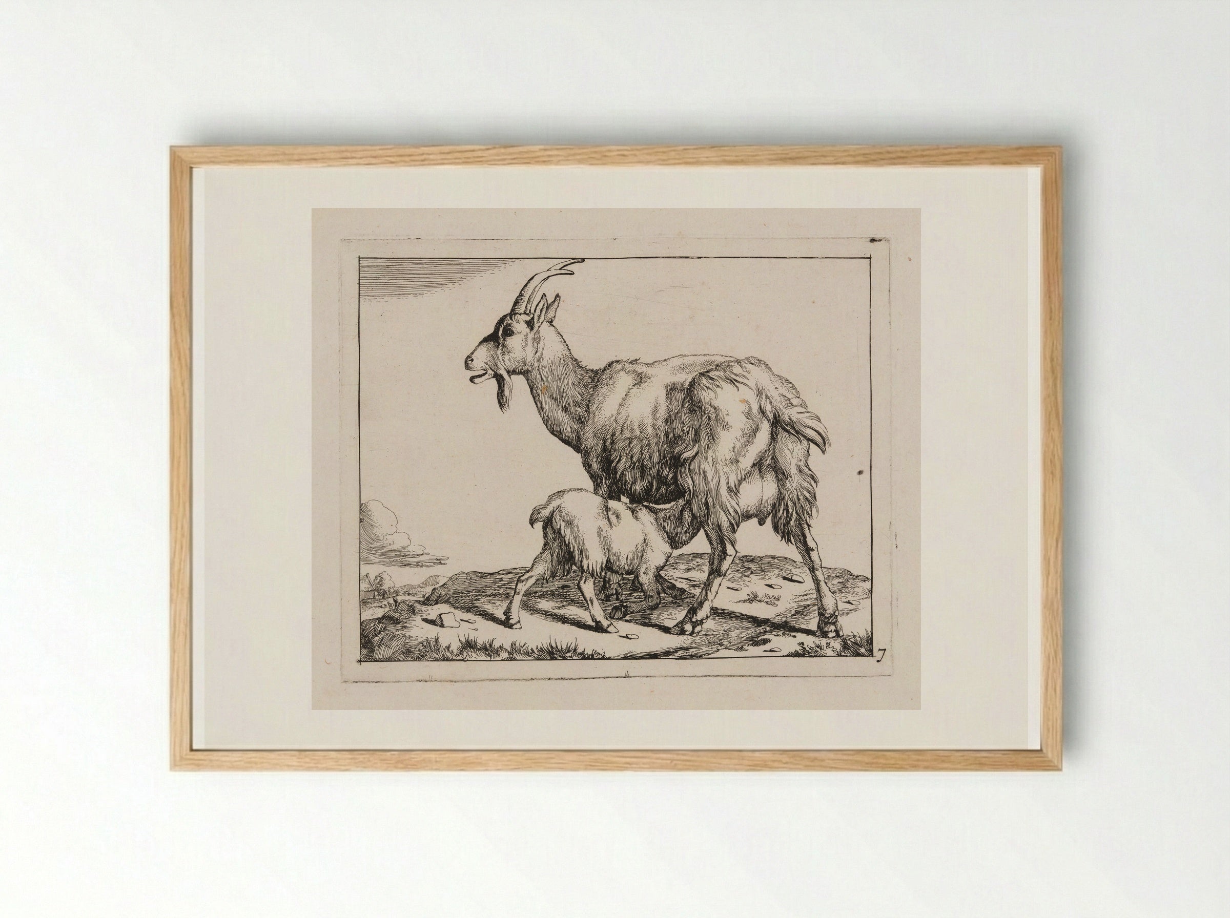 Goat with a Nursing Kid - Marcus de Bye - Framed Print Wood