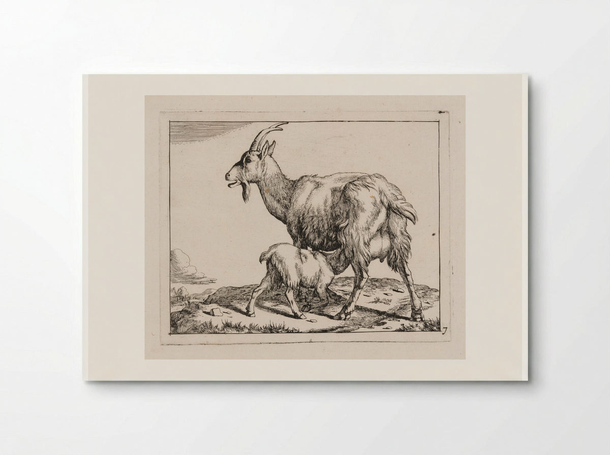 Goat with a Nursing Kid - Marcus de Bye - Poster