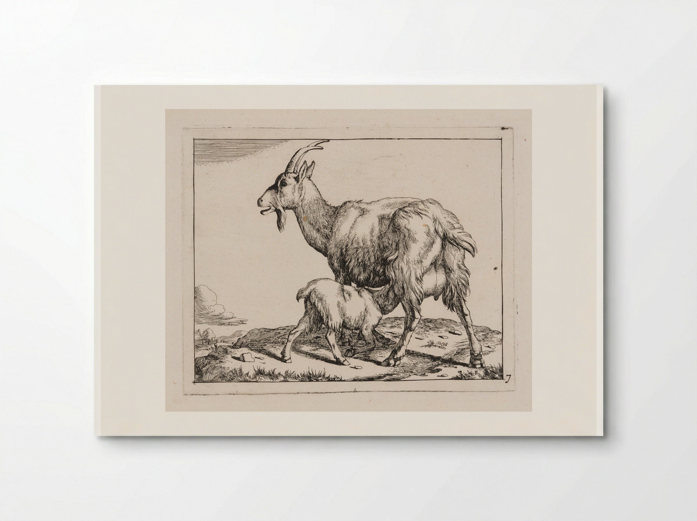Goat with a Nursing Kid - Marcus de Bye - Poster