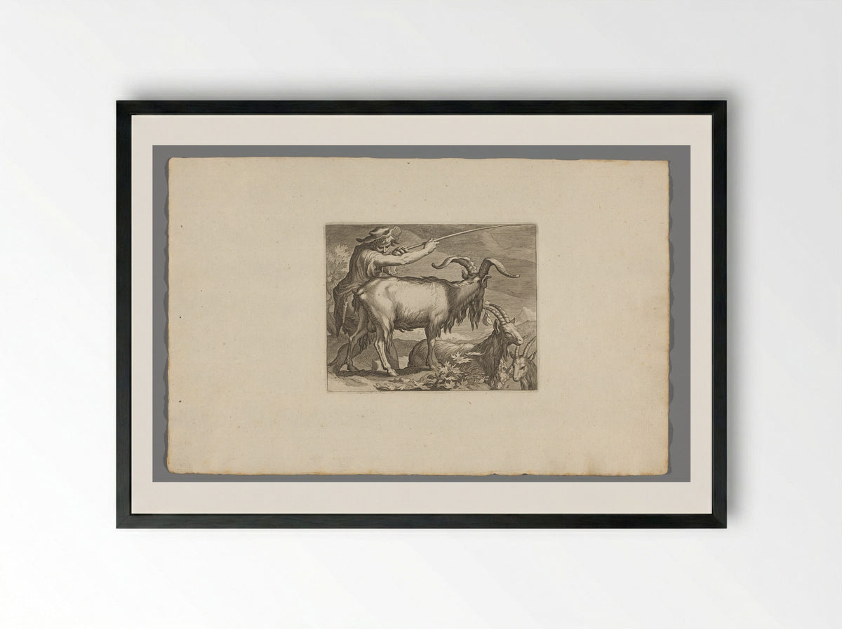 Goatherd with Goats - Boëtius Adamsz. Bolswert - Framed Print Black