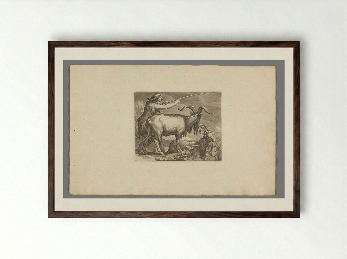 Goatherd with Goats - Boëtius Adamsz. Bolswert - Framed Print Dark Wood