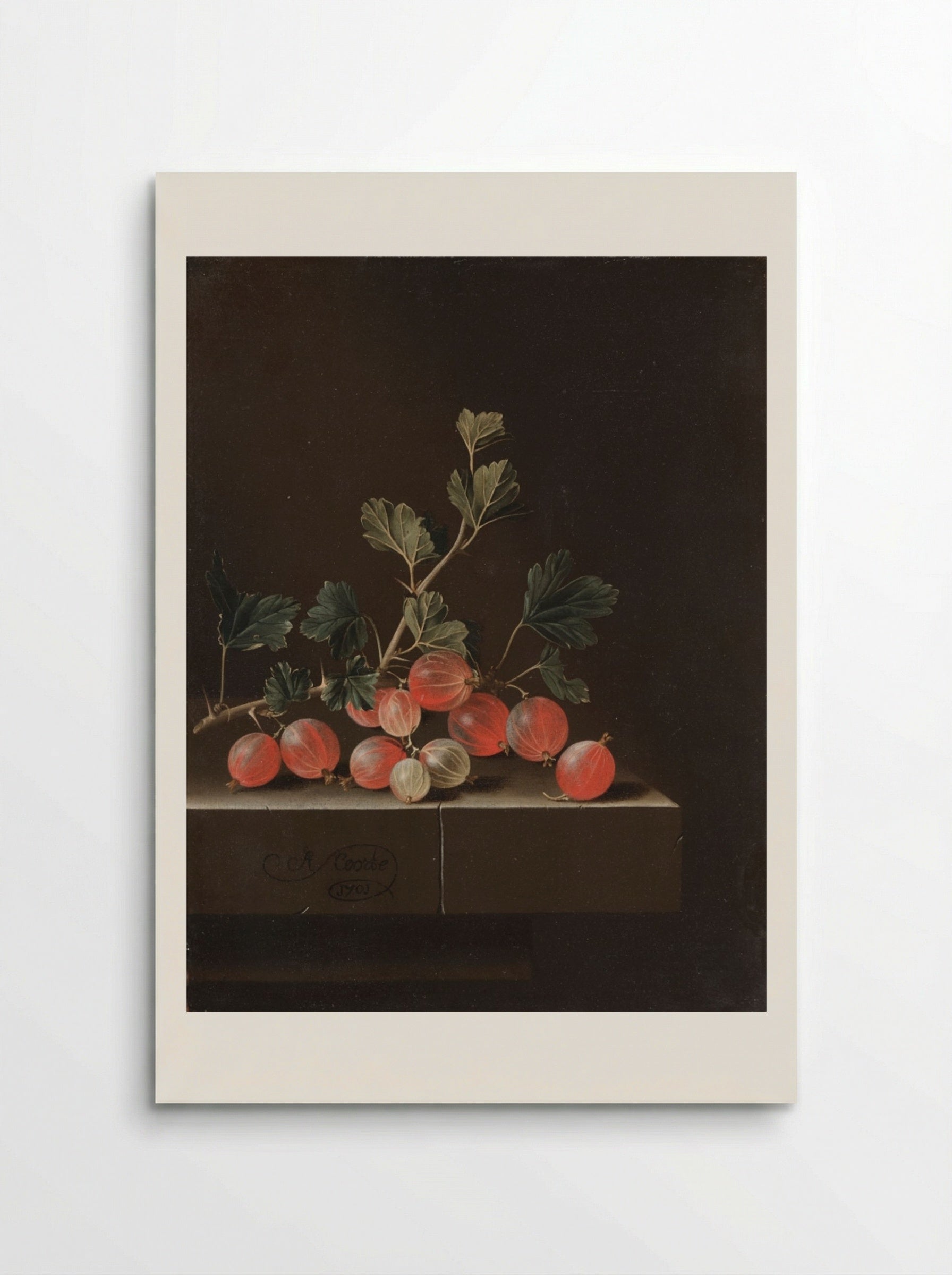 Gooseberries on a Table - Adriaen Coorte - Poster
