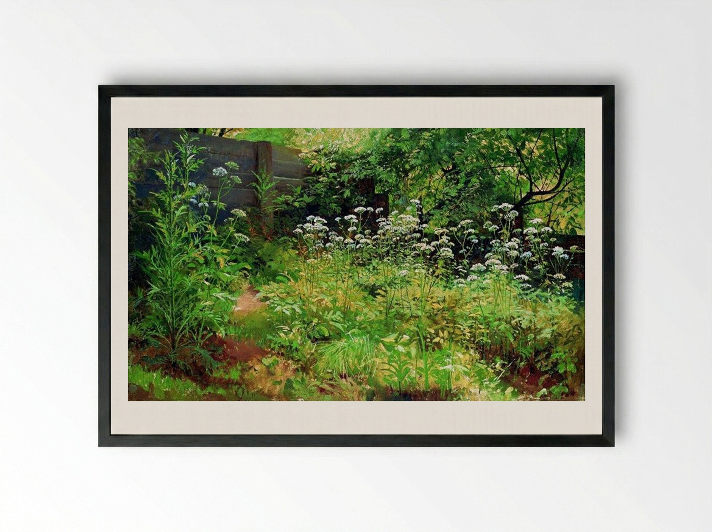 Goutweed-grass. Pargolovo - Ivan Shishkin - Framed Print Black