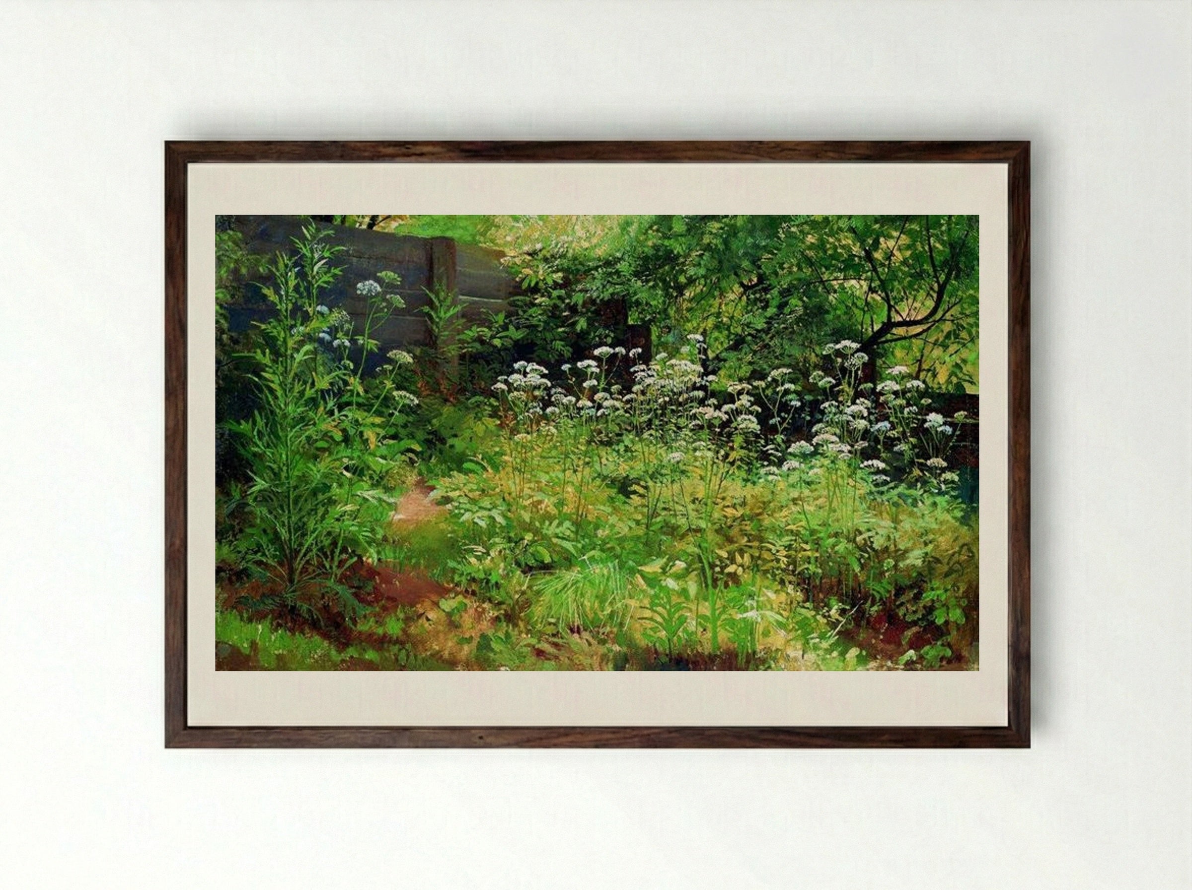 Goutweed-grass. Pargolovo - Ivan Shishkin - Framed Print Dark Wood