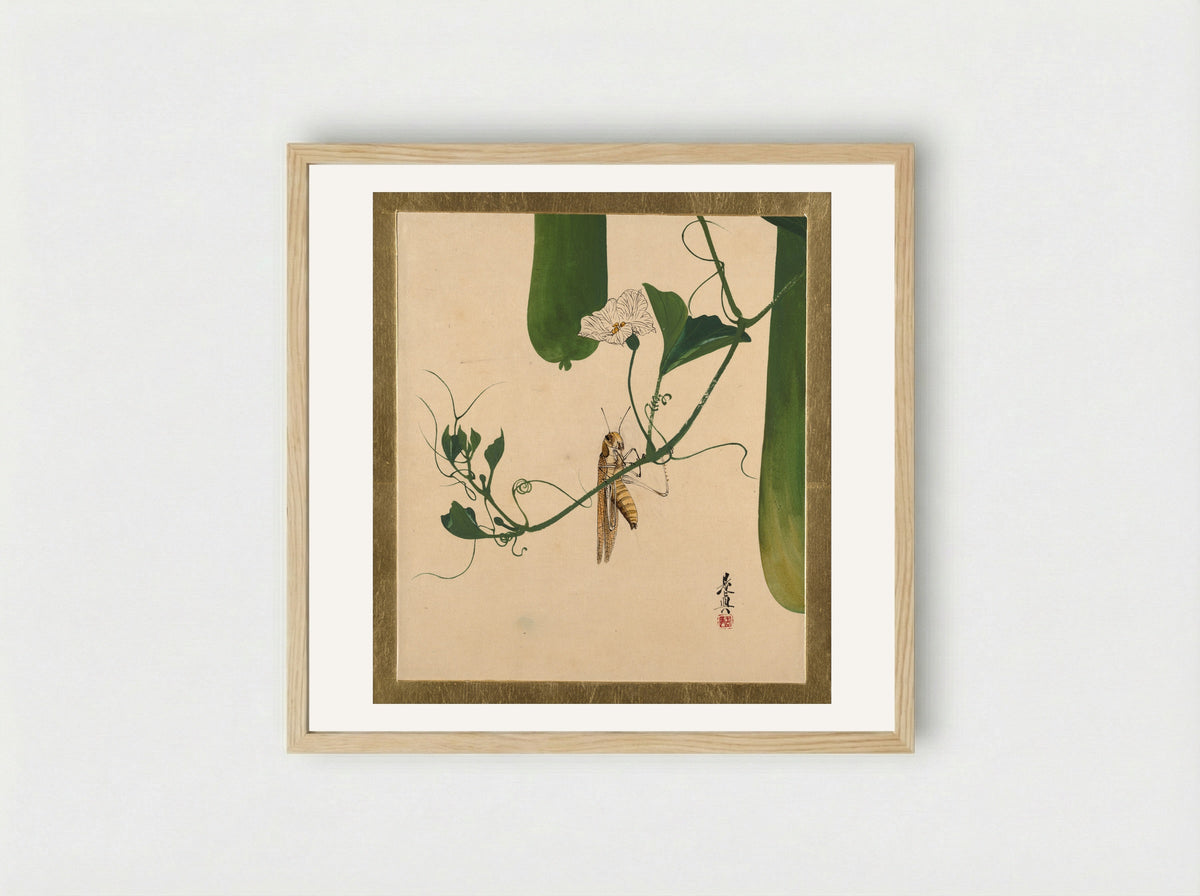 Grasshopper on Gourd Vine - Shibata Zeshin - Framed Print Wood