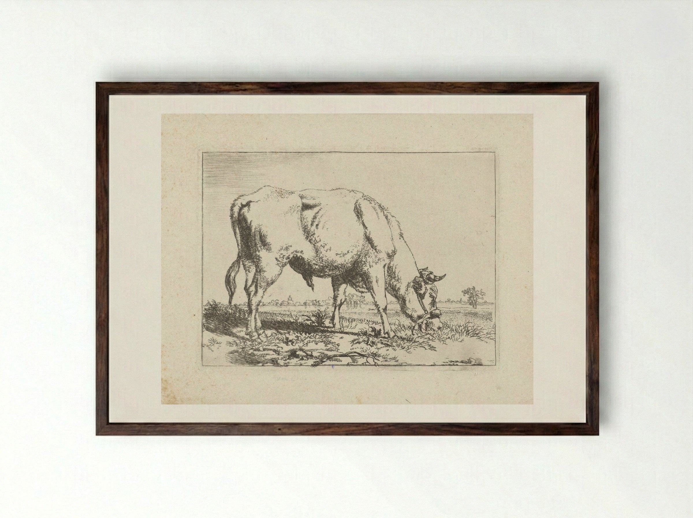Grazende stier - Pieter Gerardus van Os - Framed Print Dark Wood