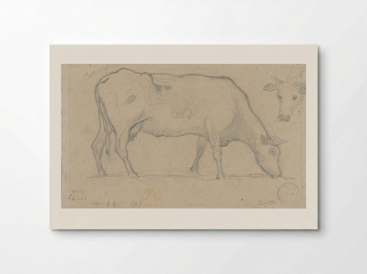 Grazing Cow with Study of a Cow's Head - Camille Corot - Poster