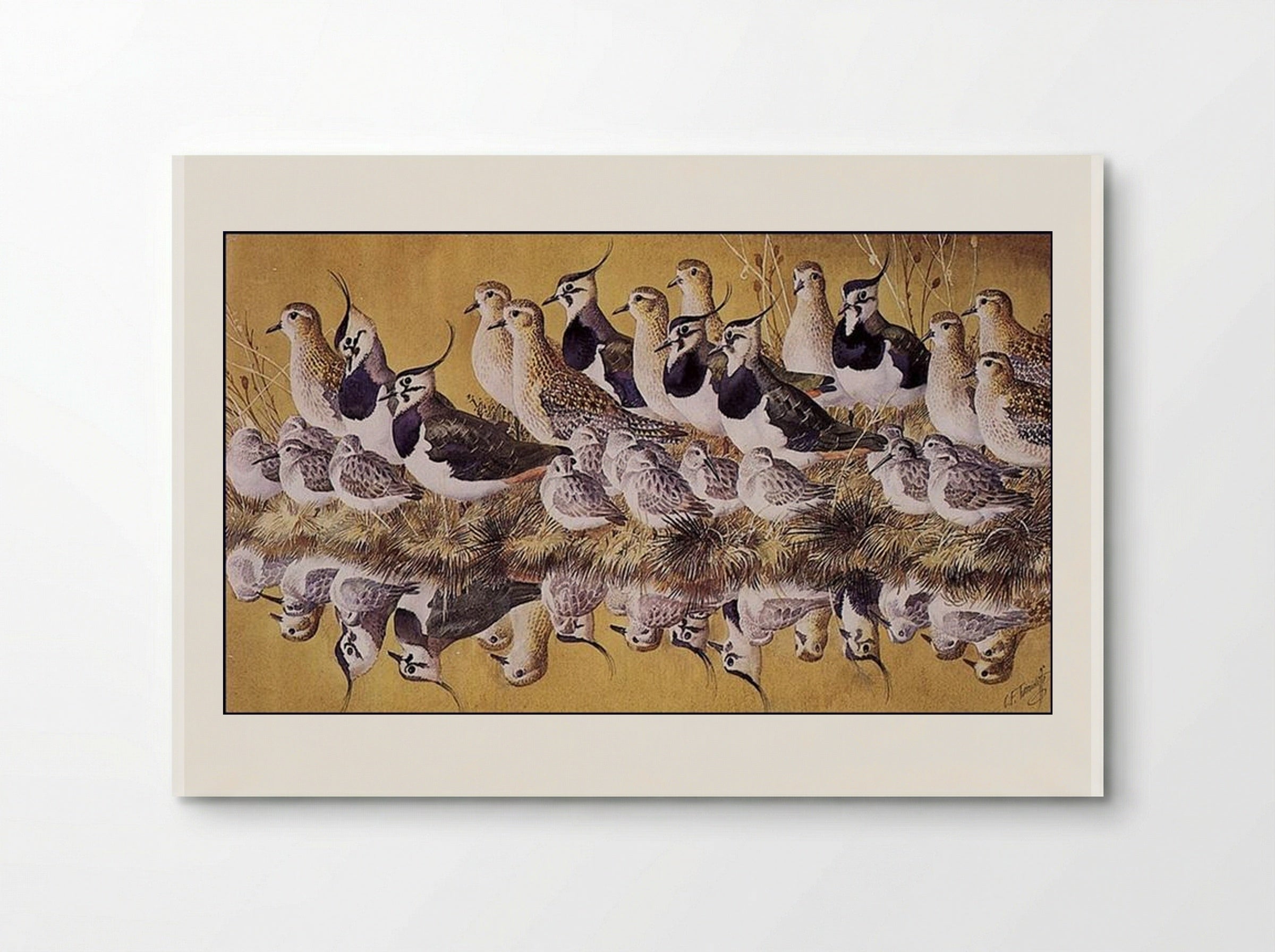 Green Gold And Dun - Charles Tunnicliffe - Poster