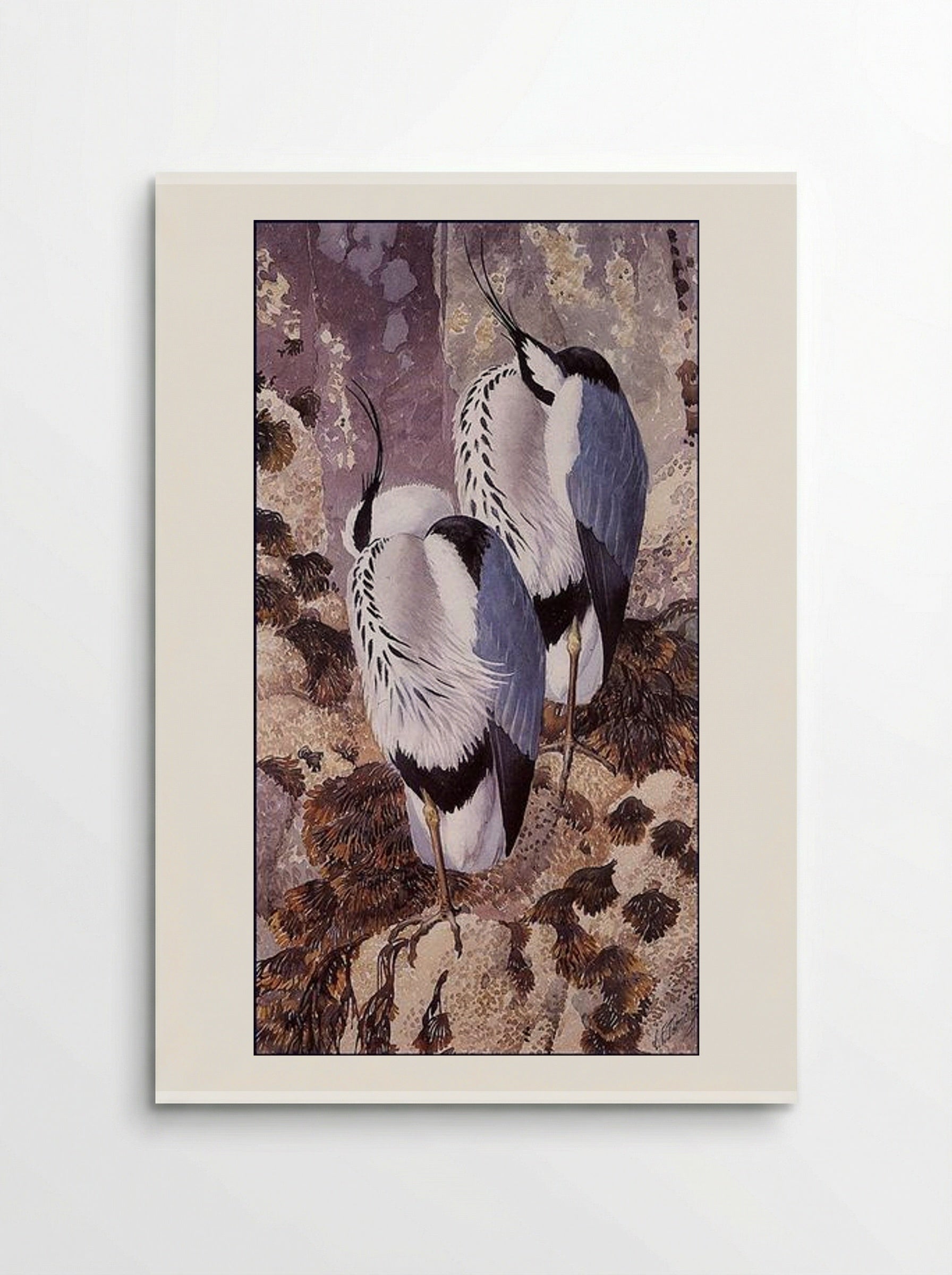 Grey Herons - Charles Tunnicliffe - Poster
