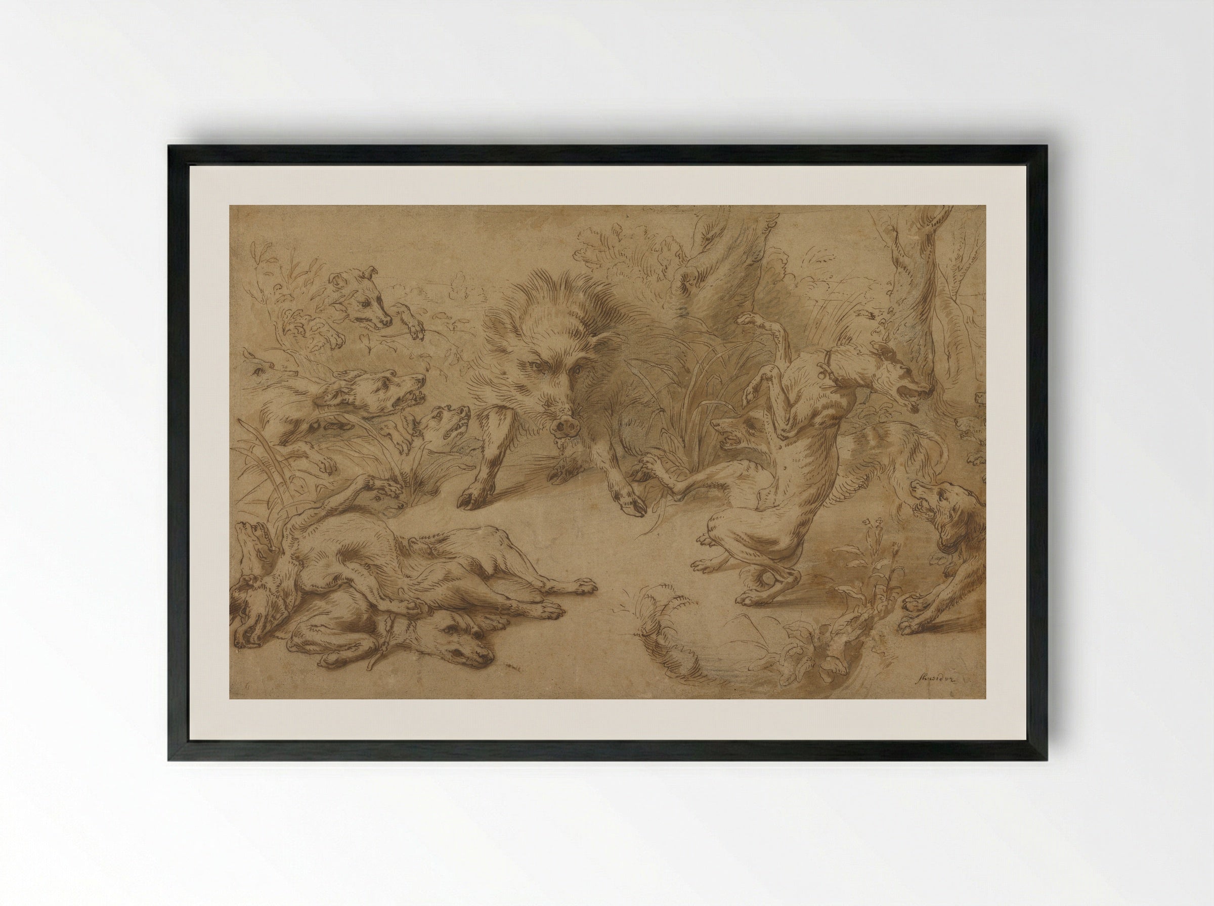 Greyhound Catching a Young Wild Boar - Frans Snyders - Framed Print Black