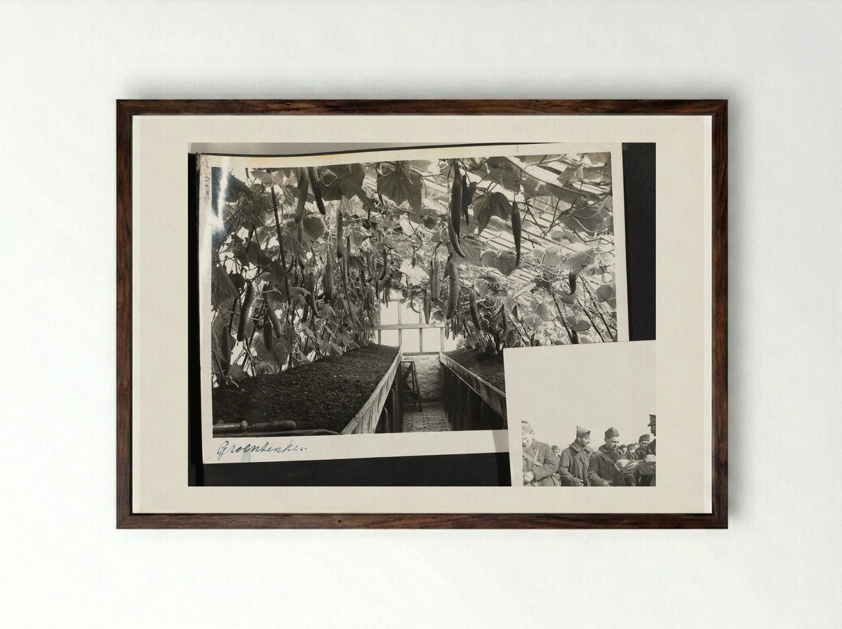 Groentenkas (Greenhouse Interior) - Dick W.B. van Maarseveen - Framed Print Dark Wood