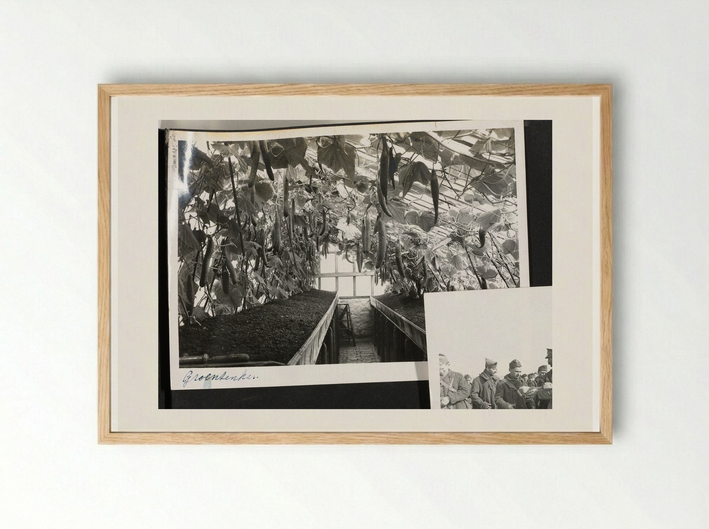 Groentenkas (Greenhouse Interior) - Dick W.B. van Maarseveen - Framed Print Wood
