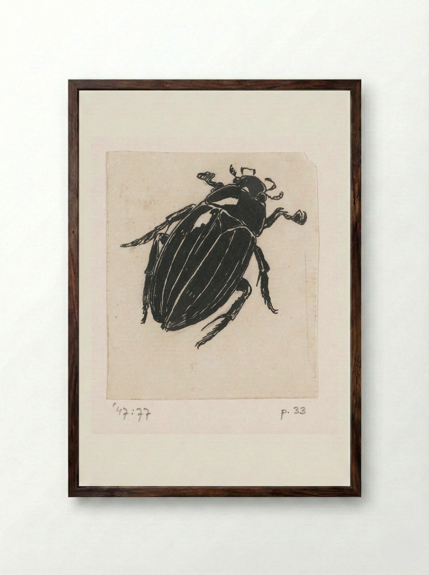 Grote spintor (Great Diving Beetle) - Willem Wenckebach - Framed Print Dark Wood