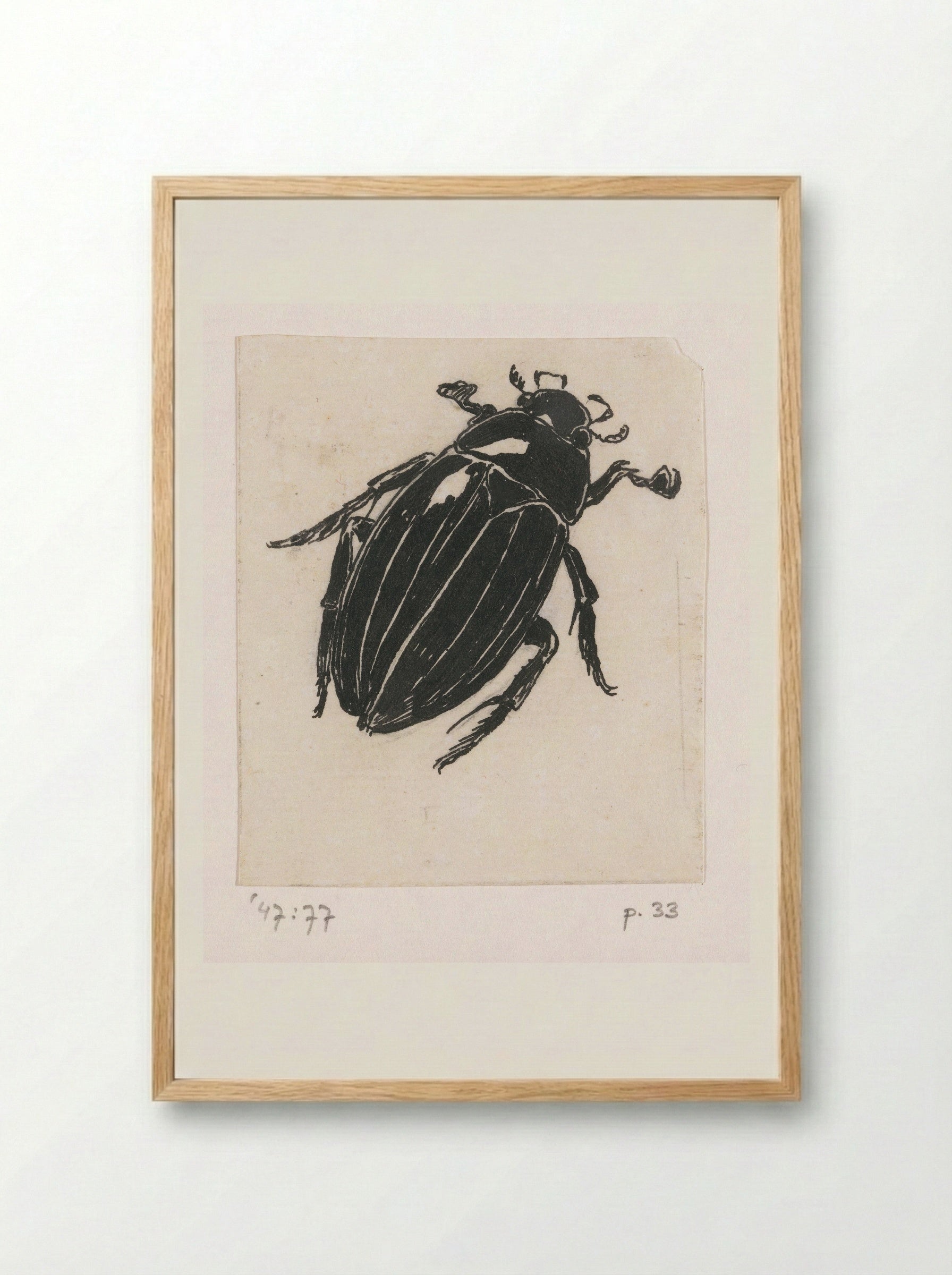 Grote spintor (Great Diving Beetle) - Willem Wenckebach - Framed Print Wood