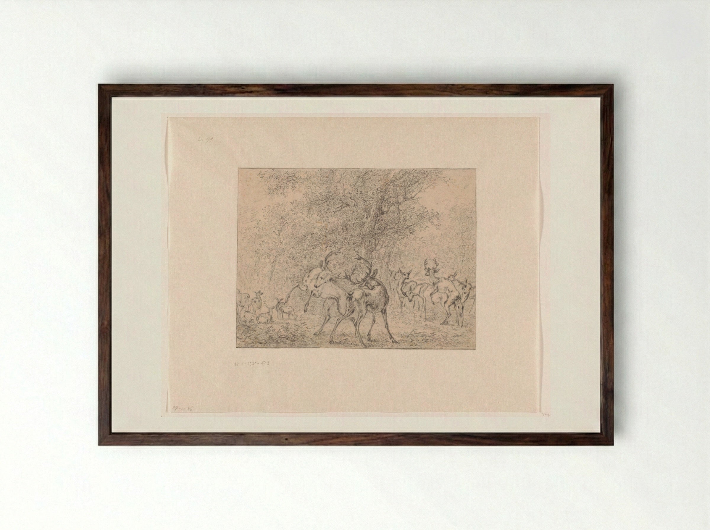 Group of Deer in a Forest - Paulus Potter - Framed Print Dark Wood