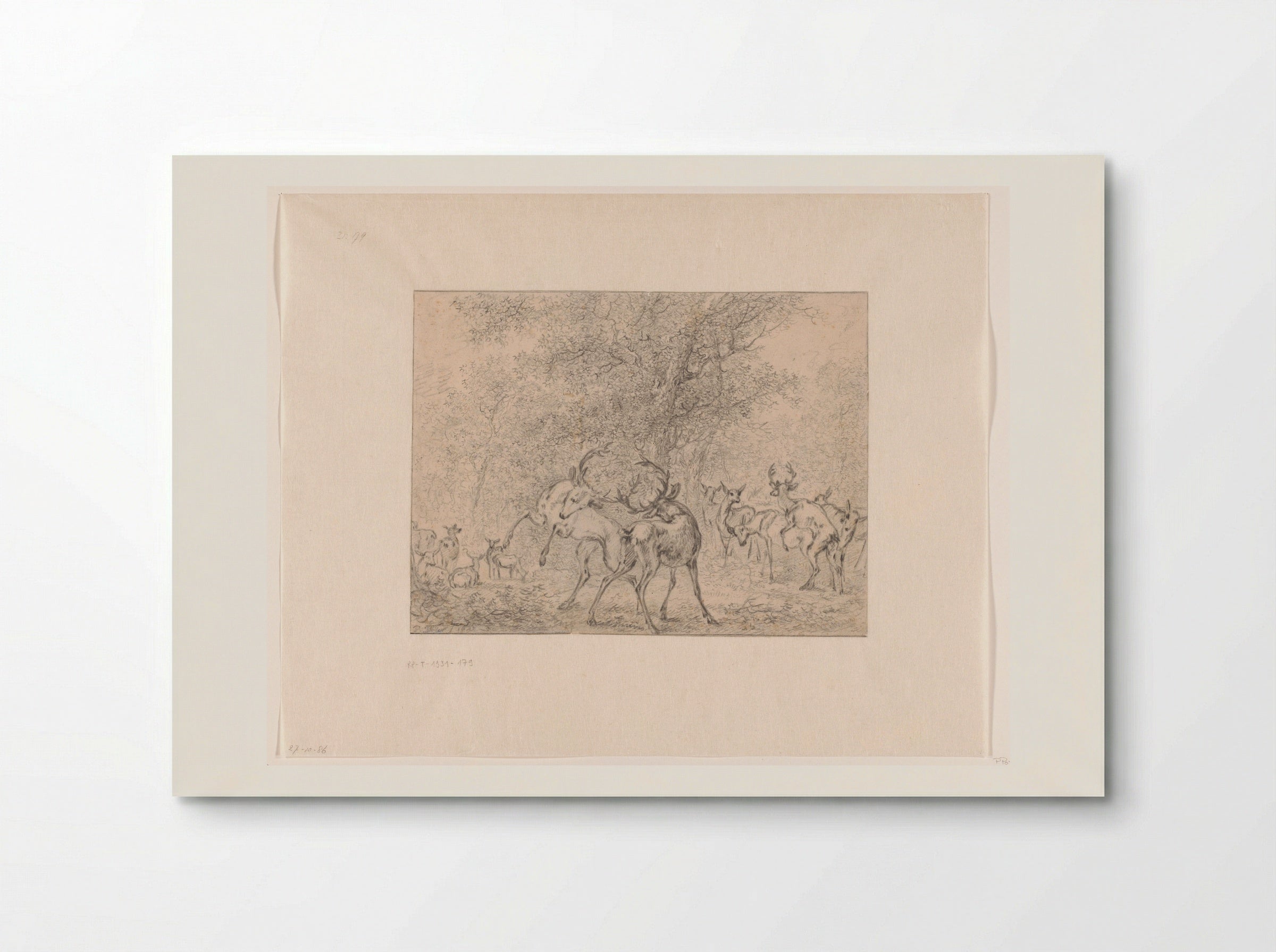 Group of Deer in a Forest - Paulus Potter - Poster