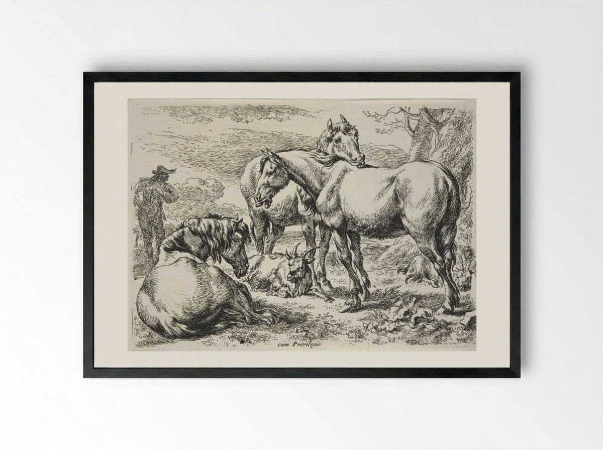 Group of Horses - Nicolaes Berchem - Framed Print Black