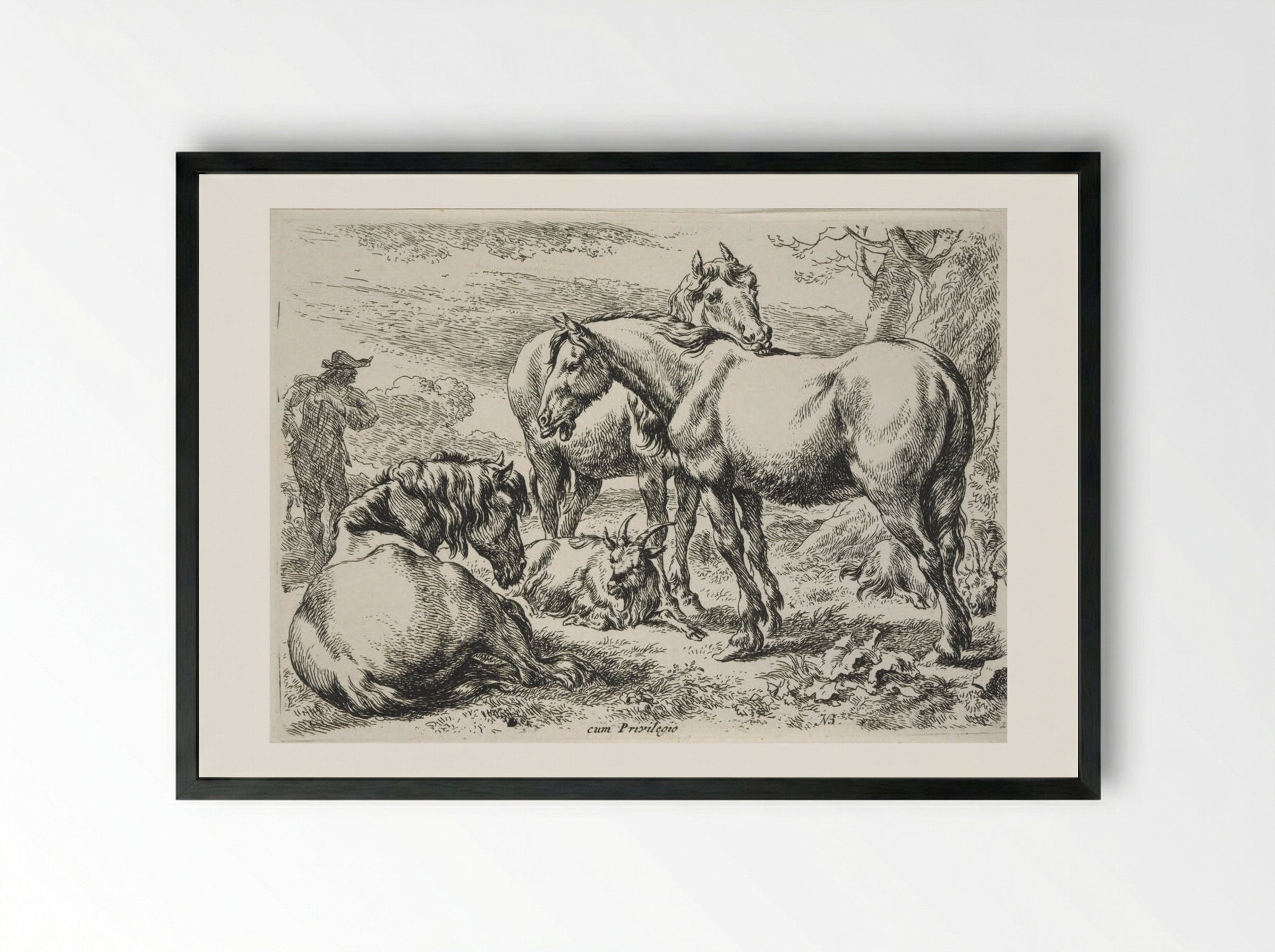 Group of Horses - Nicolaes Berchem - Framed Print Black