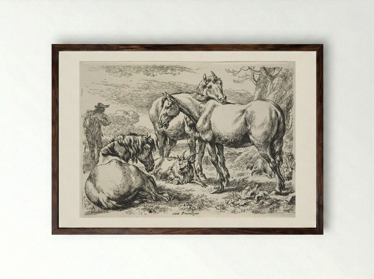 Group of Horses - Nicolaes Berchem - Framed Print Dark Wood