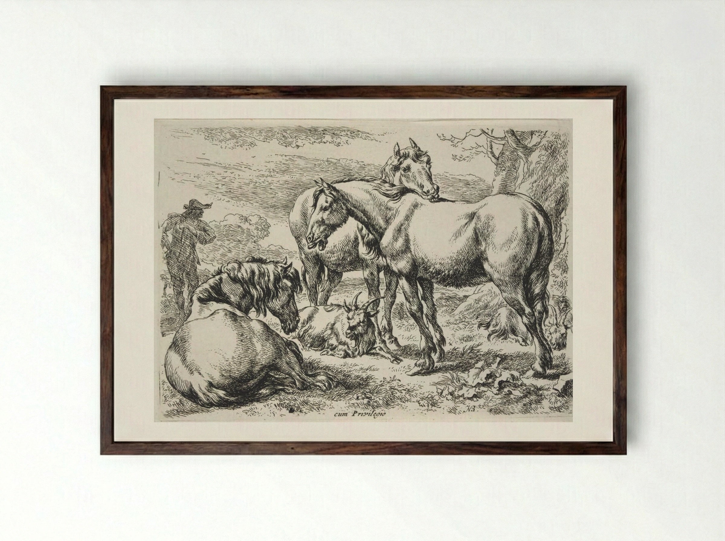 Group of Horses - Nicolaes Berchem - Framed Print Dark Wood
