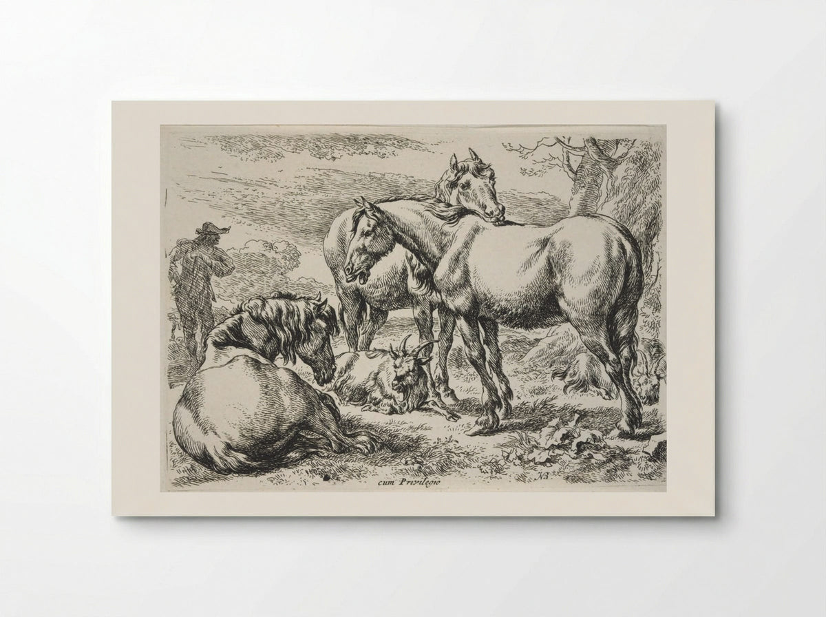 Group of Horses - Nicolaes Berchem - Poster