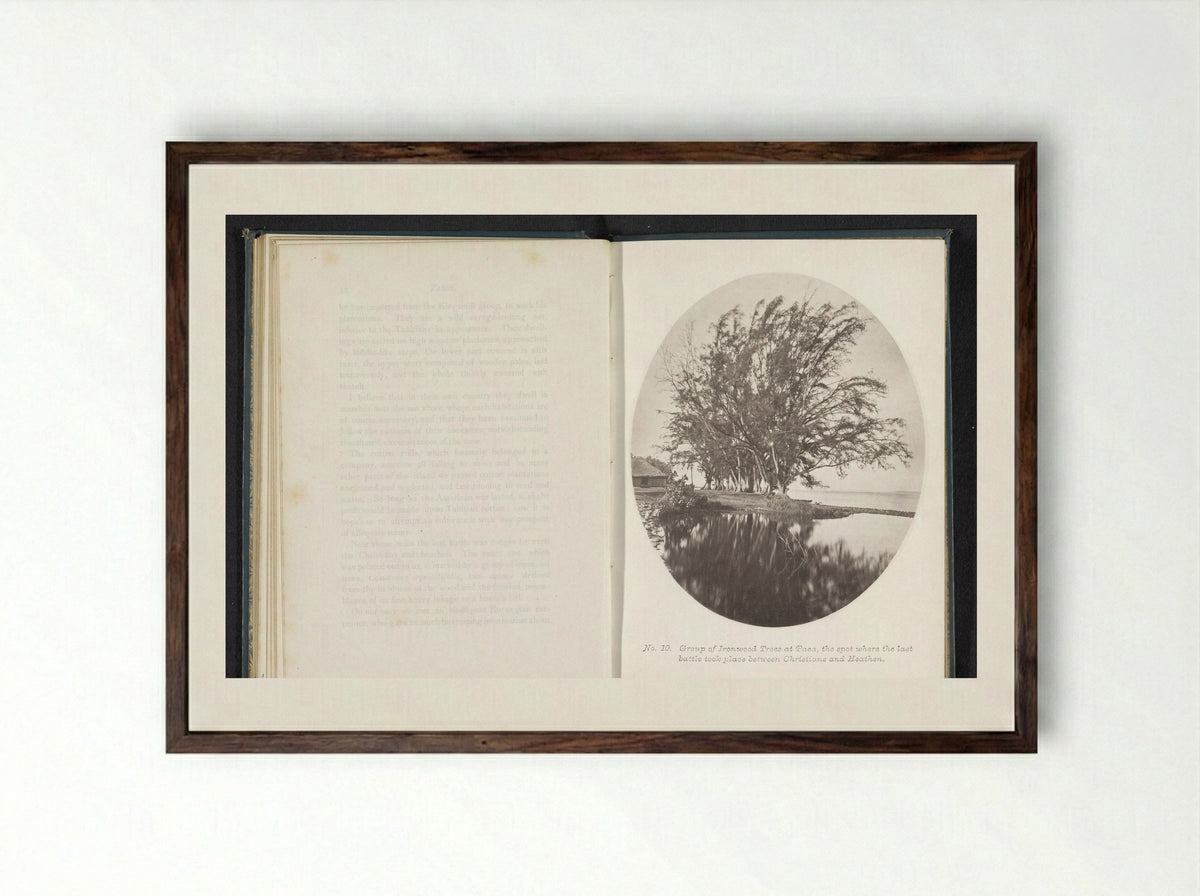 Group of Ironwood Trees at Paea, Tahiti - Henry Stuart-Wortley - Framed Print Dark Wood