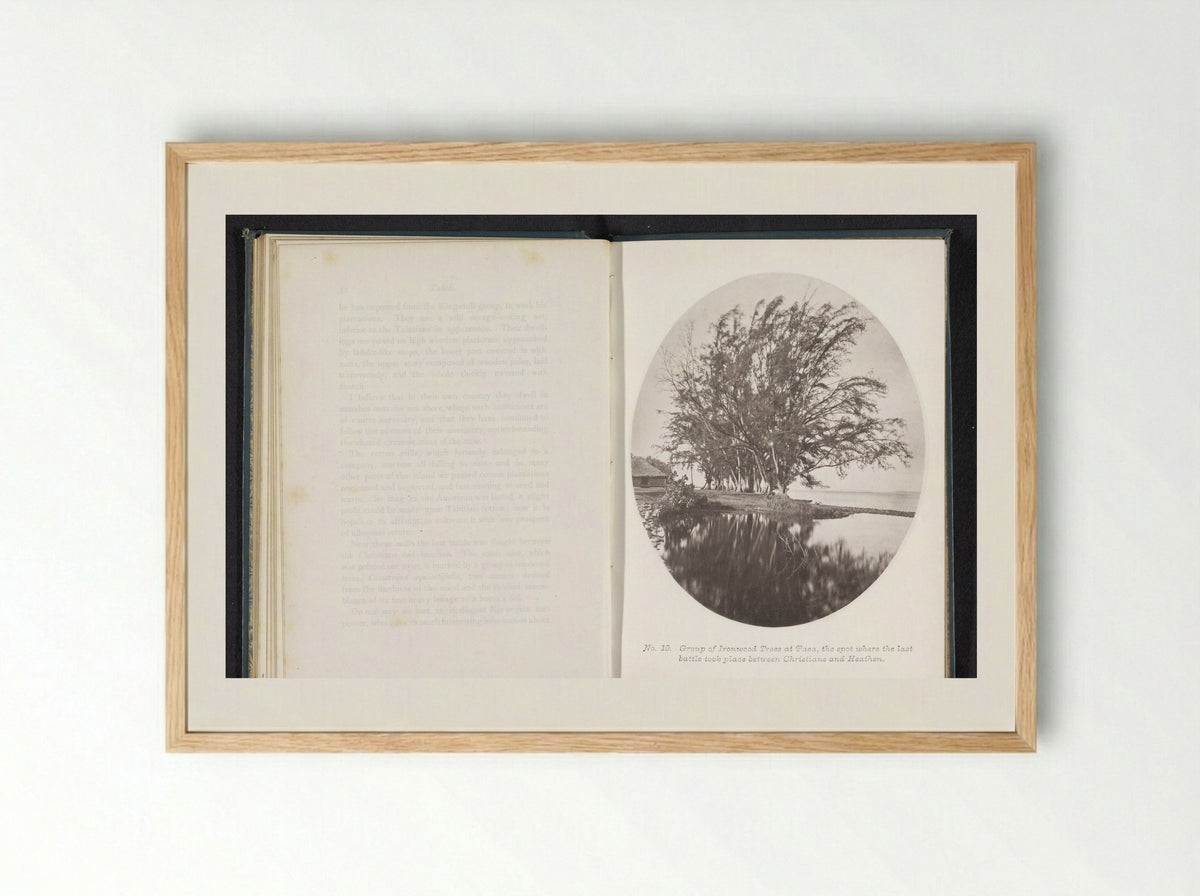 Group of Ironwood Trees at Paea, Tahiti - Henry Stuart-Wortley - Framed Print Wood