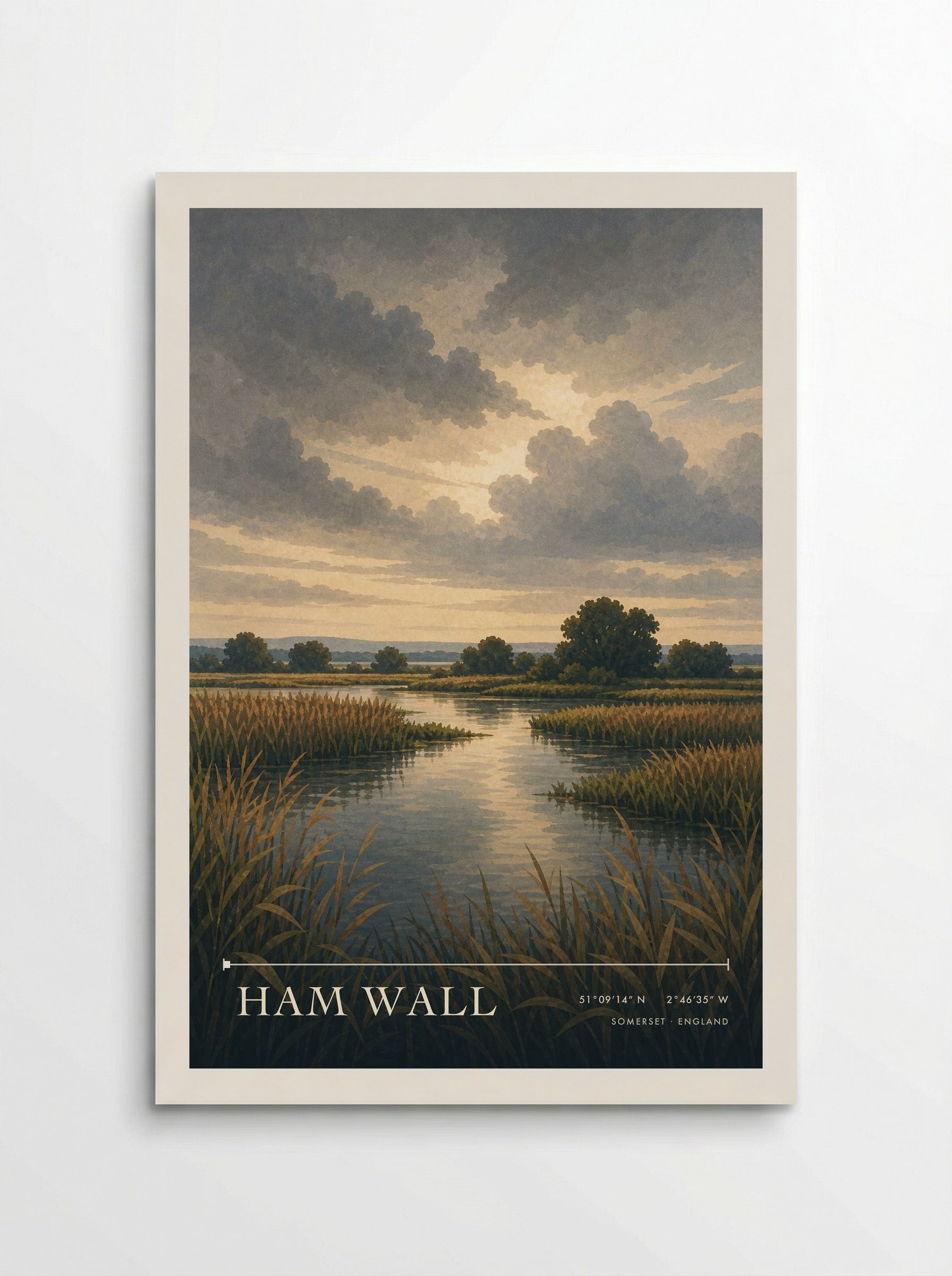 Ham Wall Somerset England Travel Poster - Poster