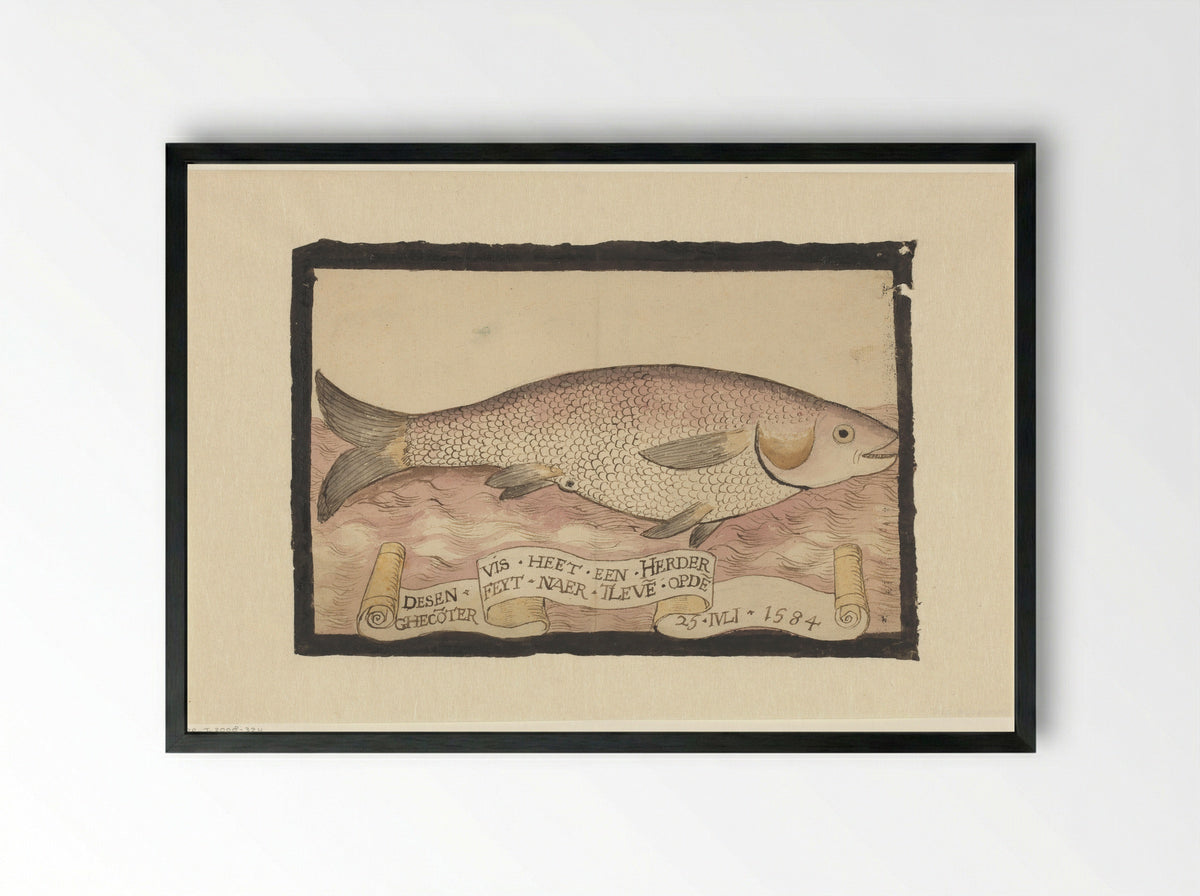 Harder (Mullet) - Adriaen Coenen - Framed Print Black