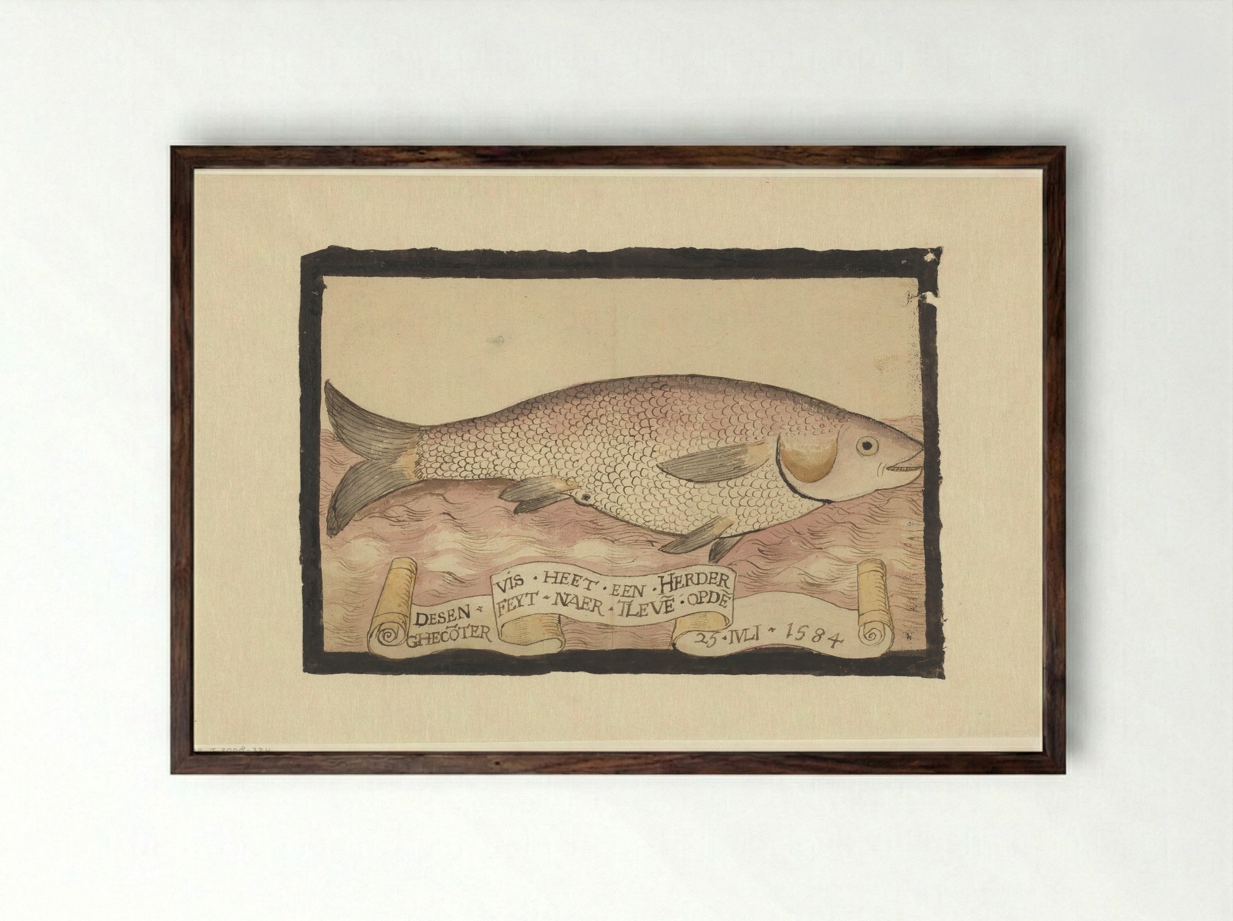 Harder (Mullet) - Adriaen Coenen - Framed Print Dark Wood
