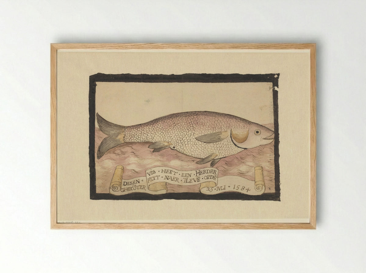 Harder (Mullet) - Adriaen Coenen - Framed Print Wood