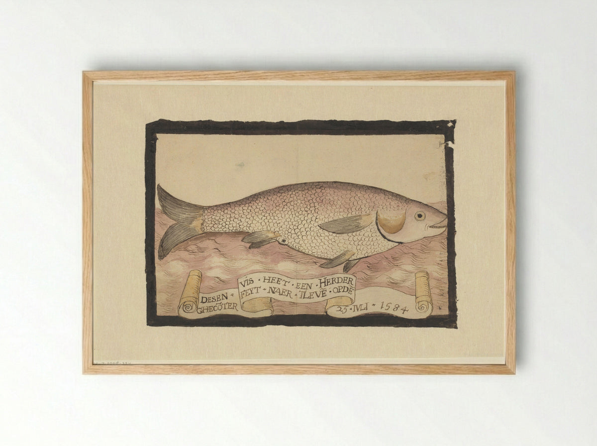 Harder (Mullet) - Adriaen Coenen - Framed Print Wood