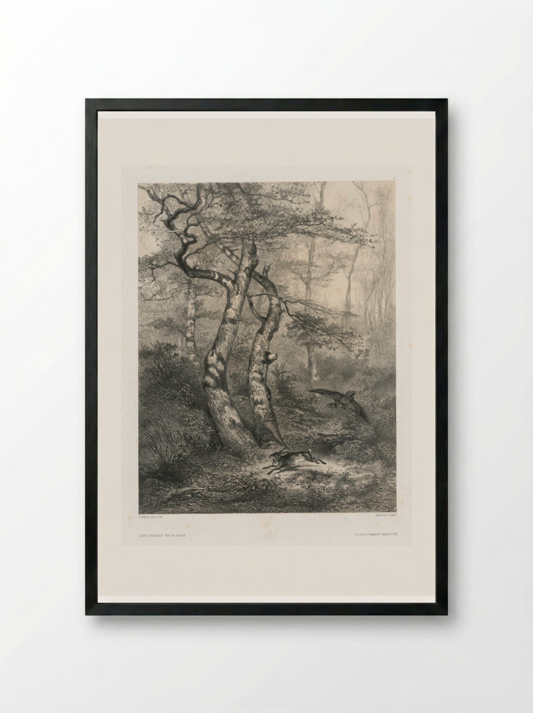 Hare Pursued by a Goshawk - Karl Bodmer - Framed Print Black