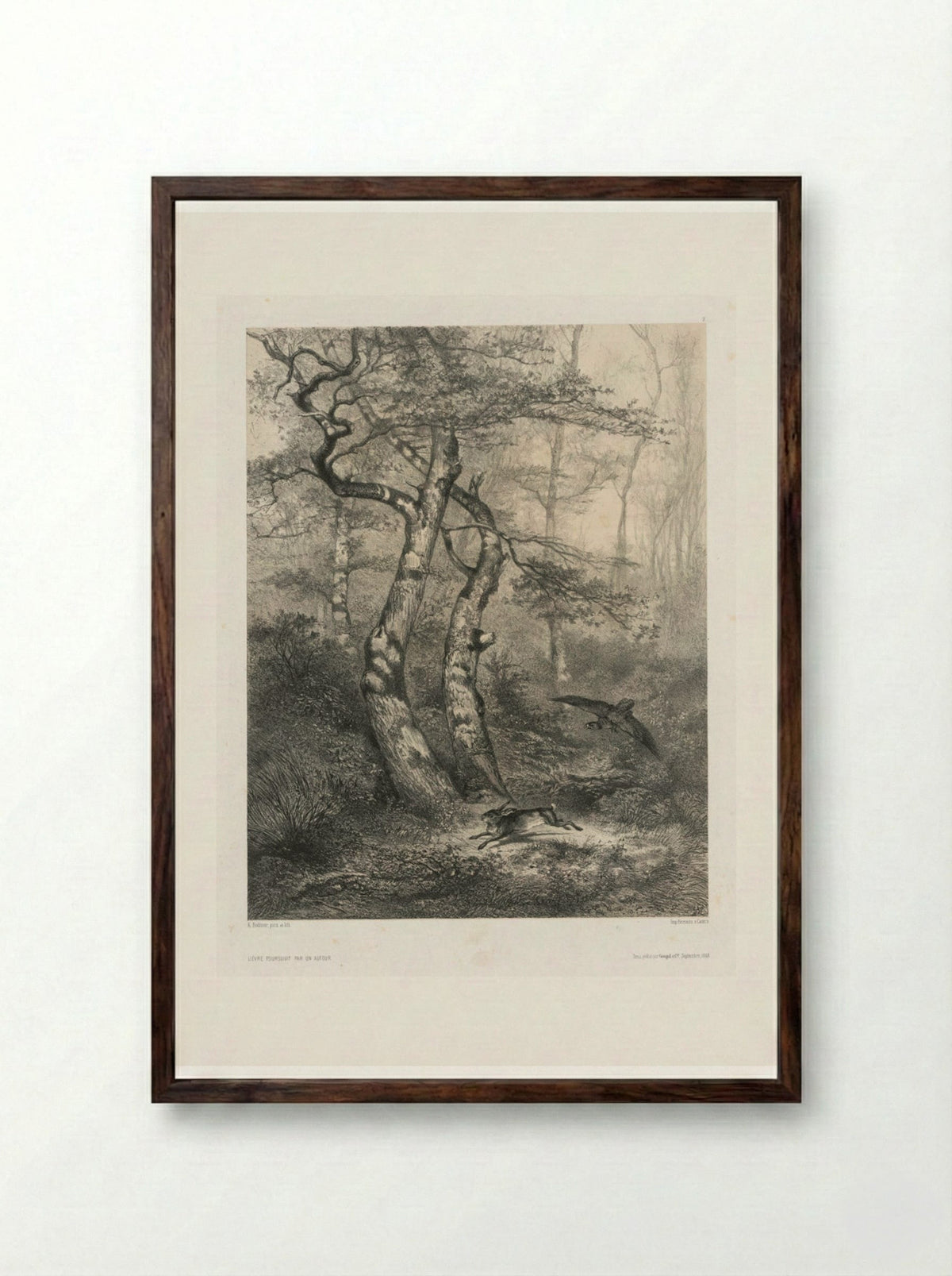 Hare Pursued by a Goshawk - Karl Bodmer - Framed Print Dark Wood