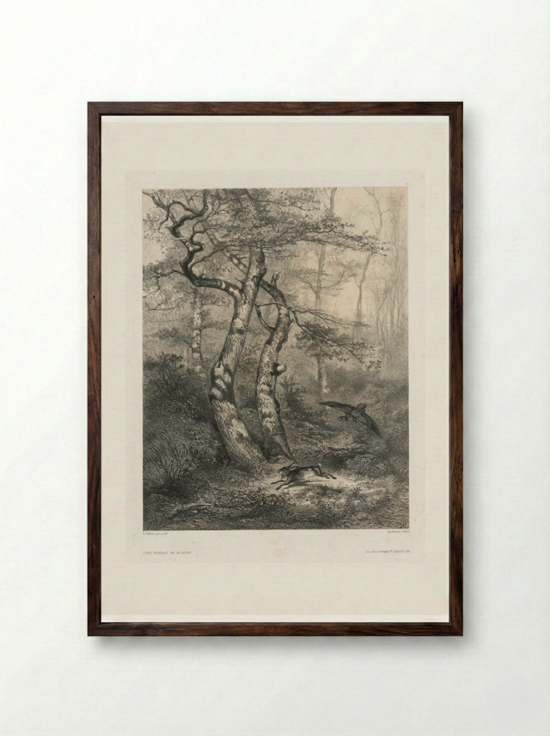 Hare Pursued by a Goshawk - Karl Bodmer - Framed Print Dark Wood