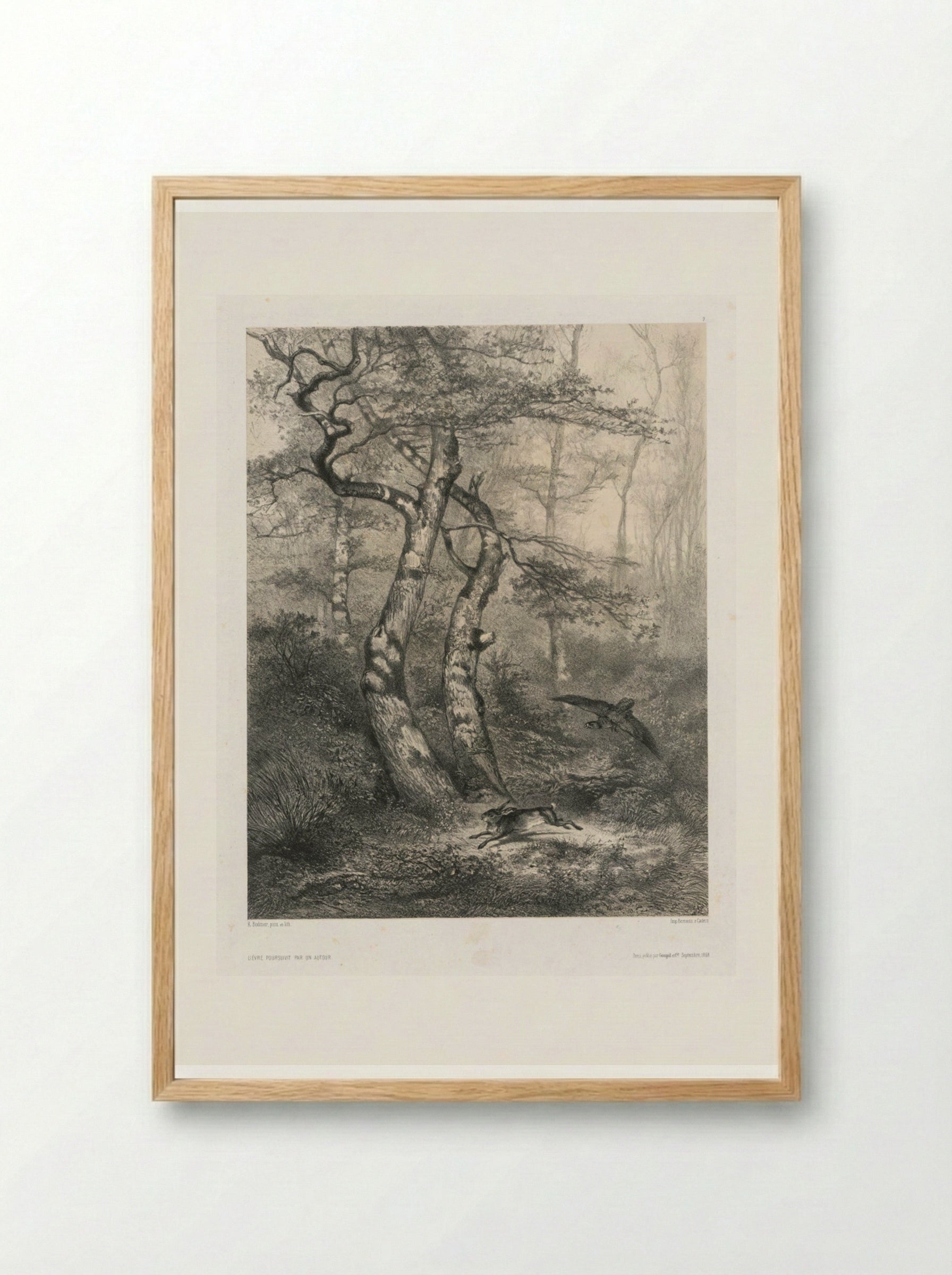Hare Pursued by a Goshawk - Karl Bodmer - Framed Print Wood