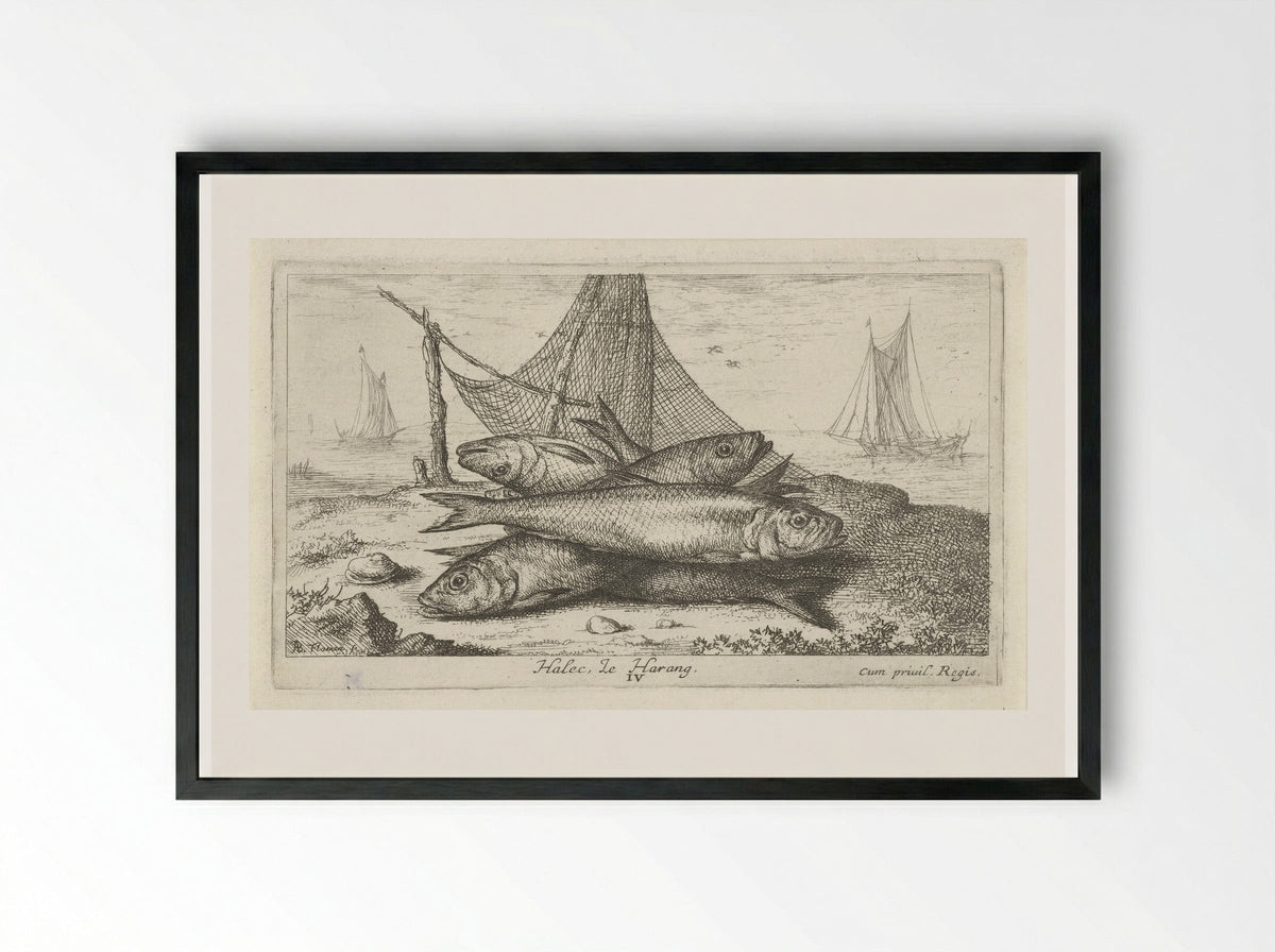 Haringen bij een visnet - Albert Flamen - Framed Print Black
