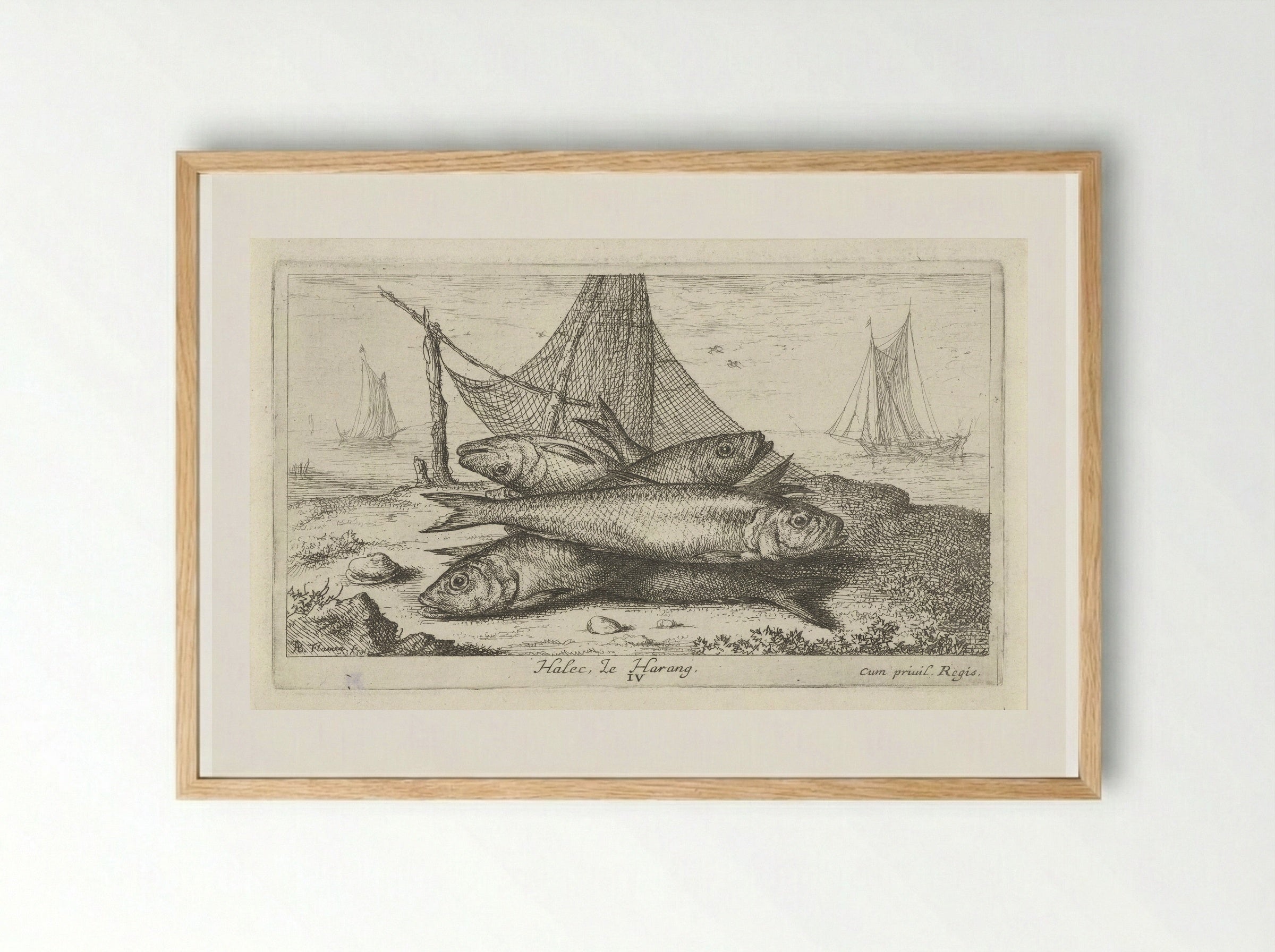 Haringen bij een visnet - Albert Flamen - Framed Print Wood