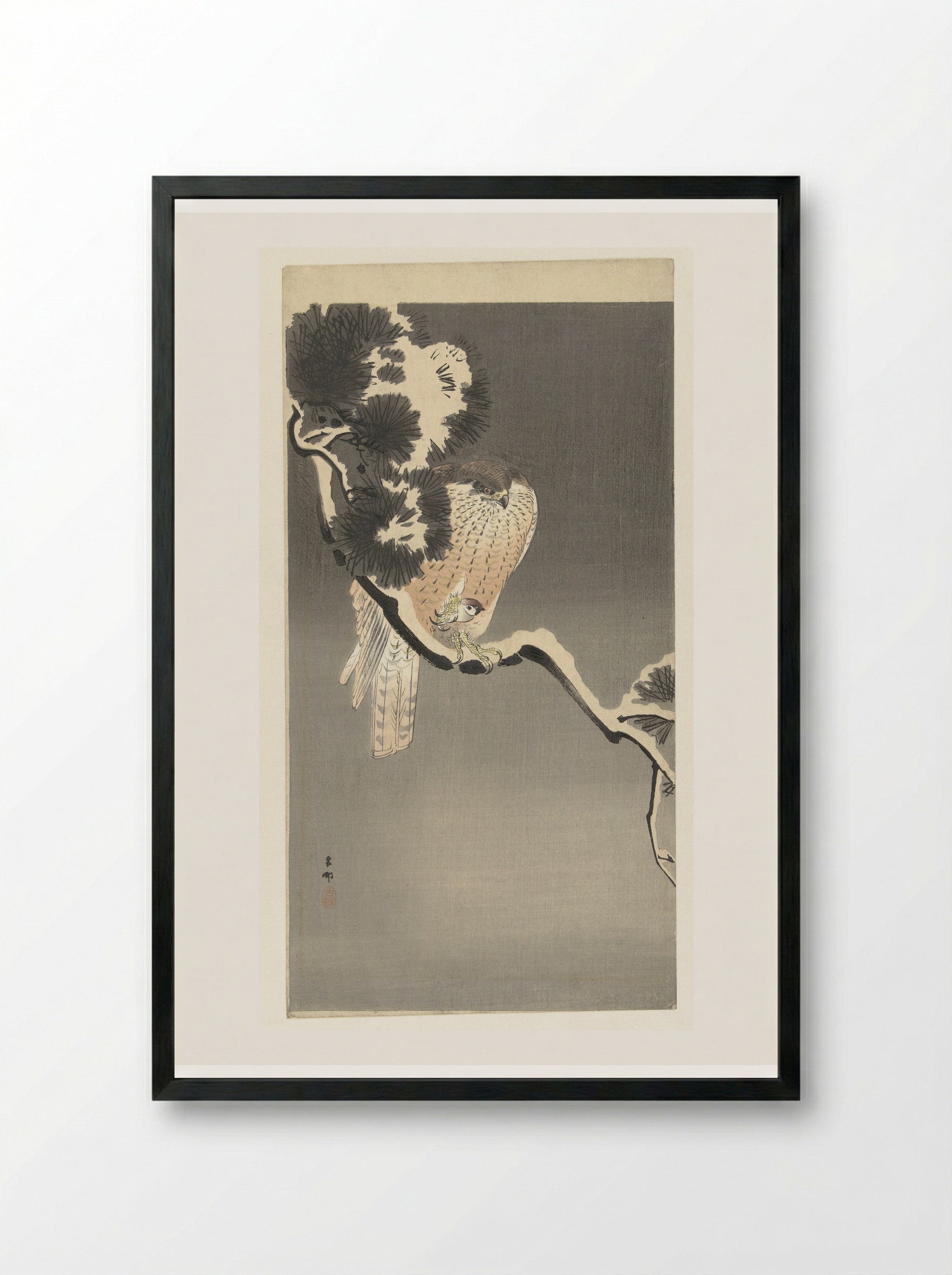Hawk with Sparrow - Matsuki Heikichi - Framed Print Black