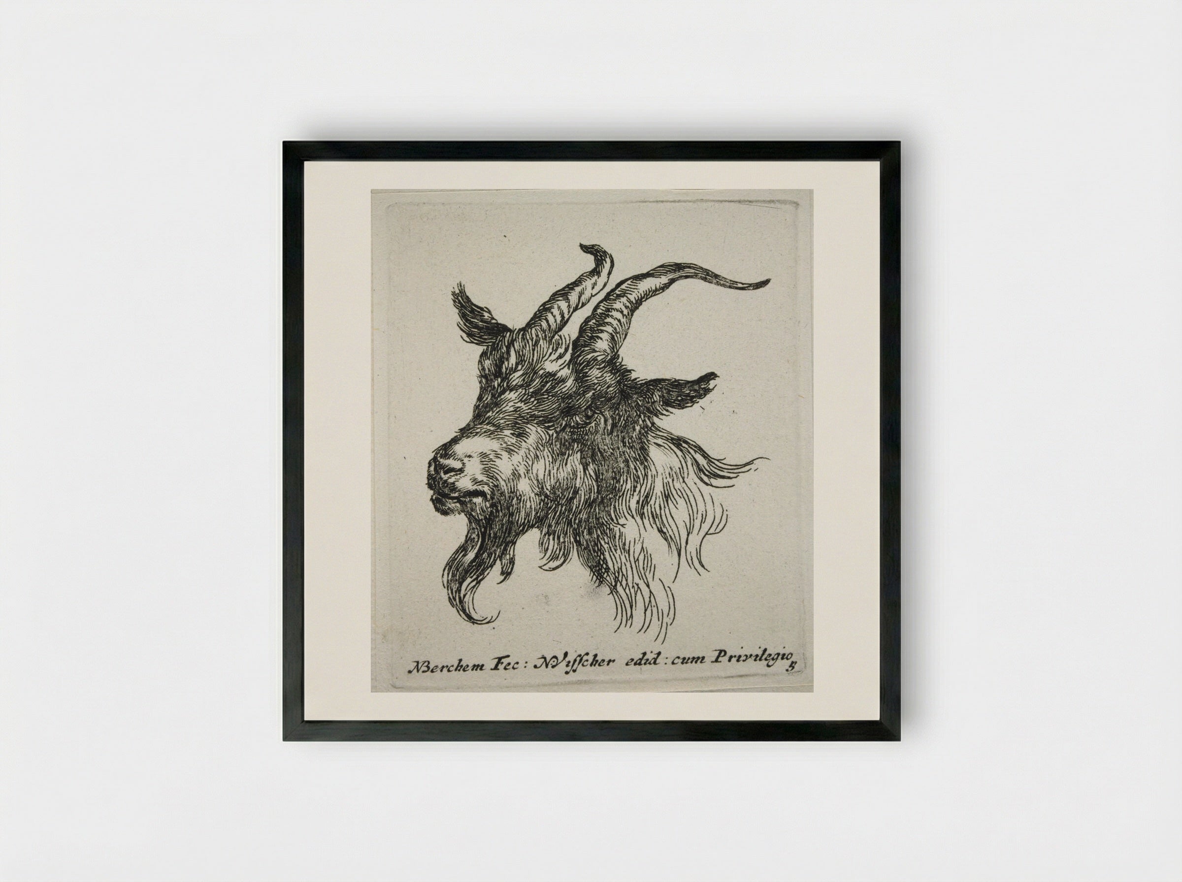 Head of a Goat Looking Forward and Left - Nicolaes Berchem - Framed Print Black